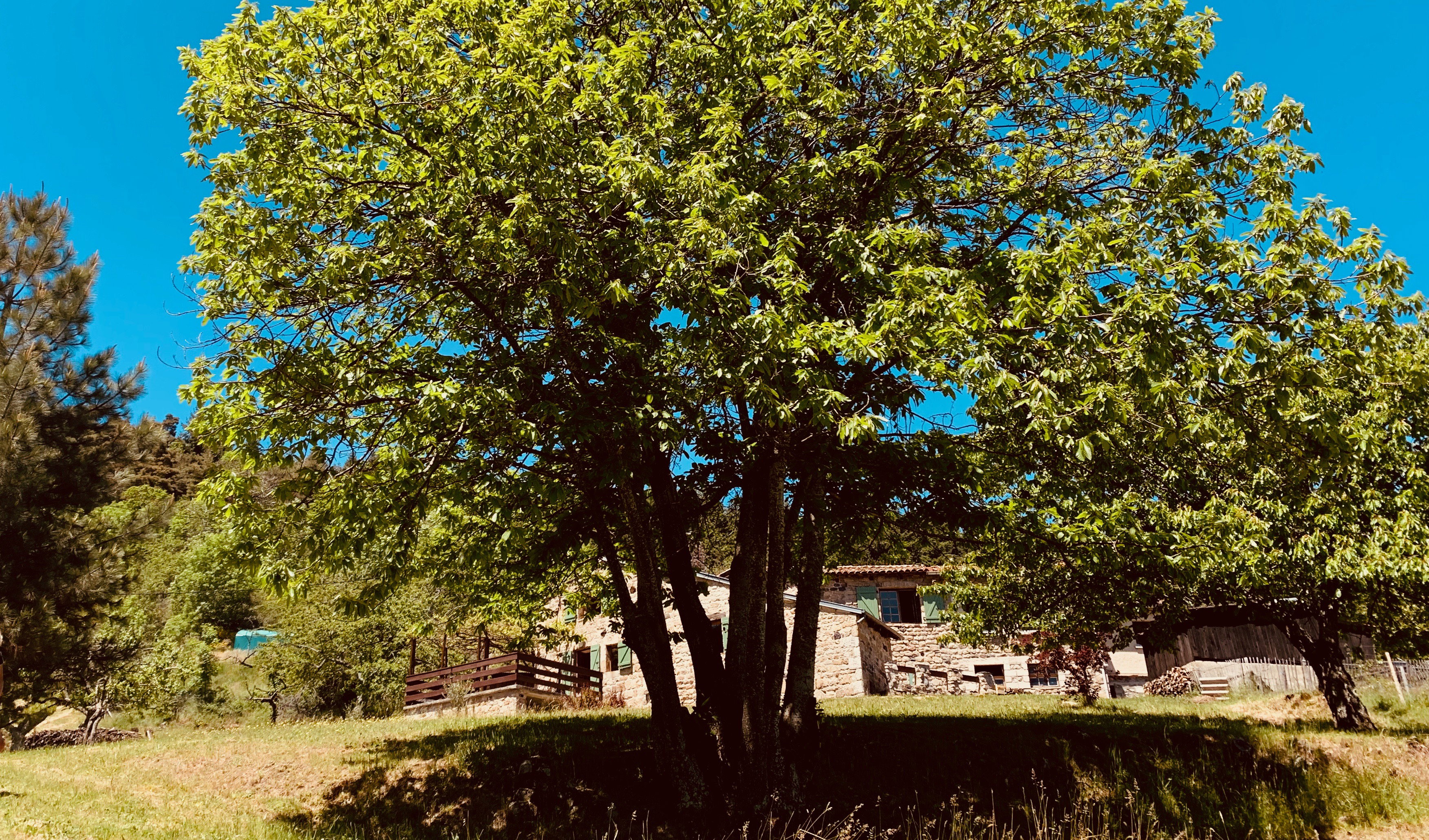 - image: 24