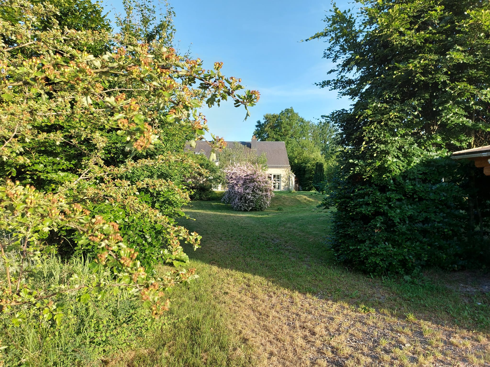 - image: 25