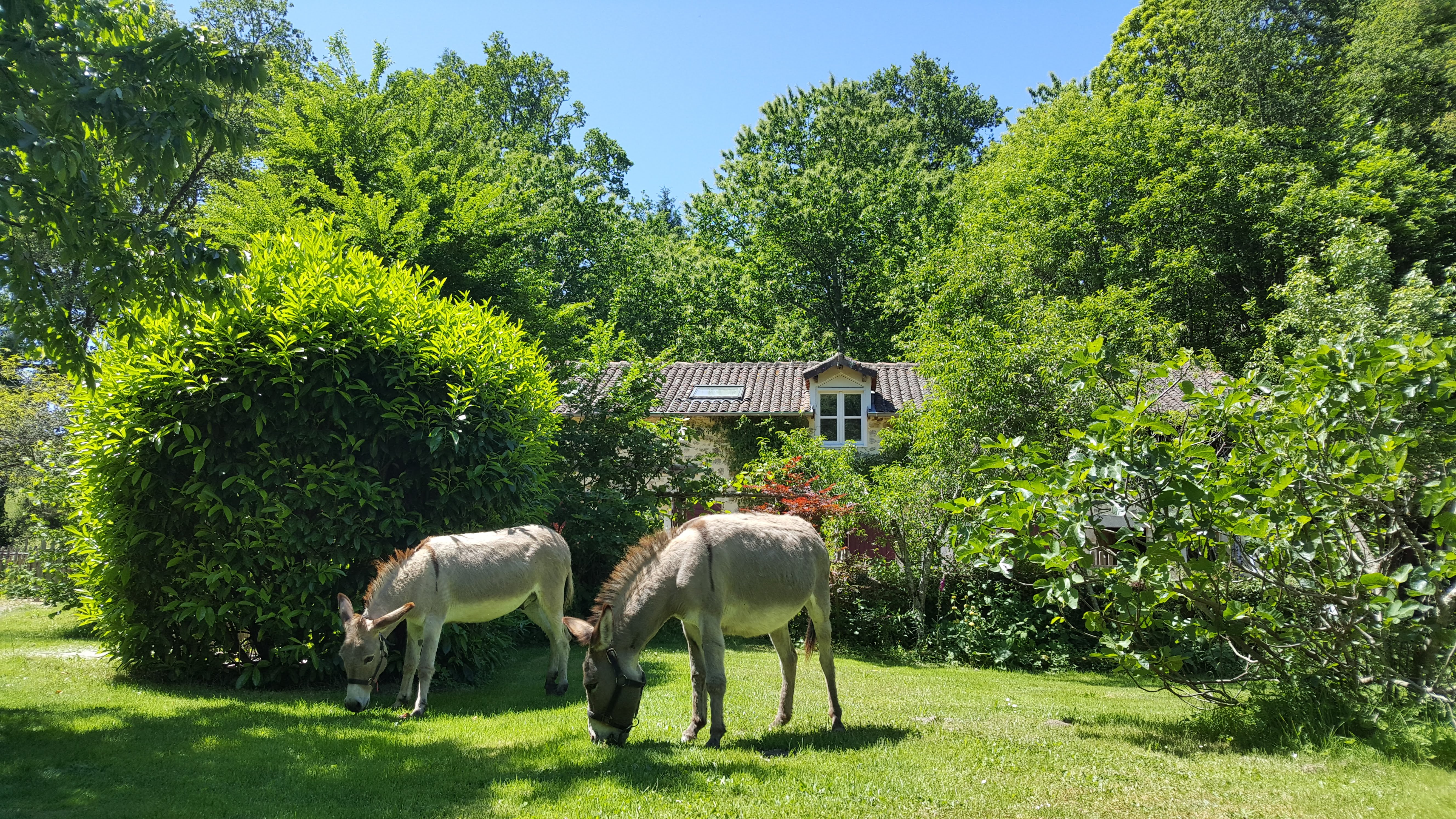 Maison nature à PENSOL