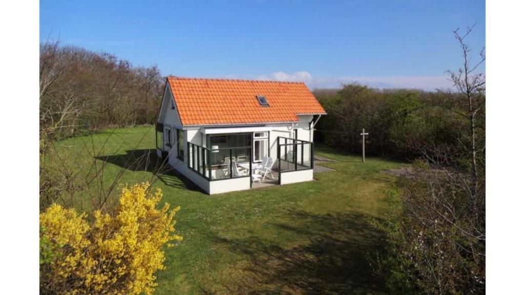 - image: 1