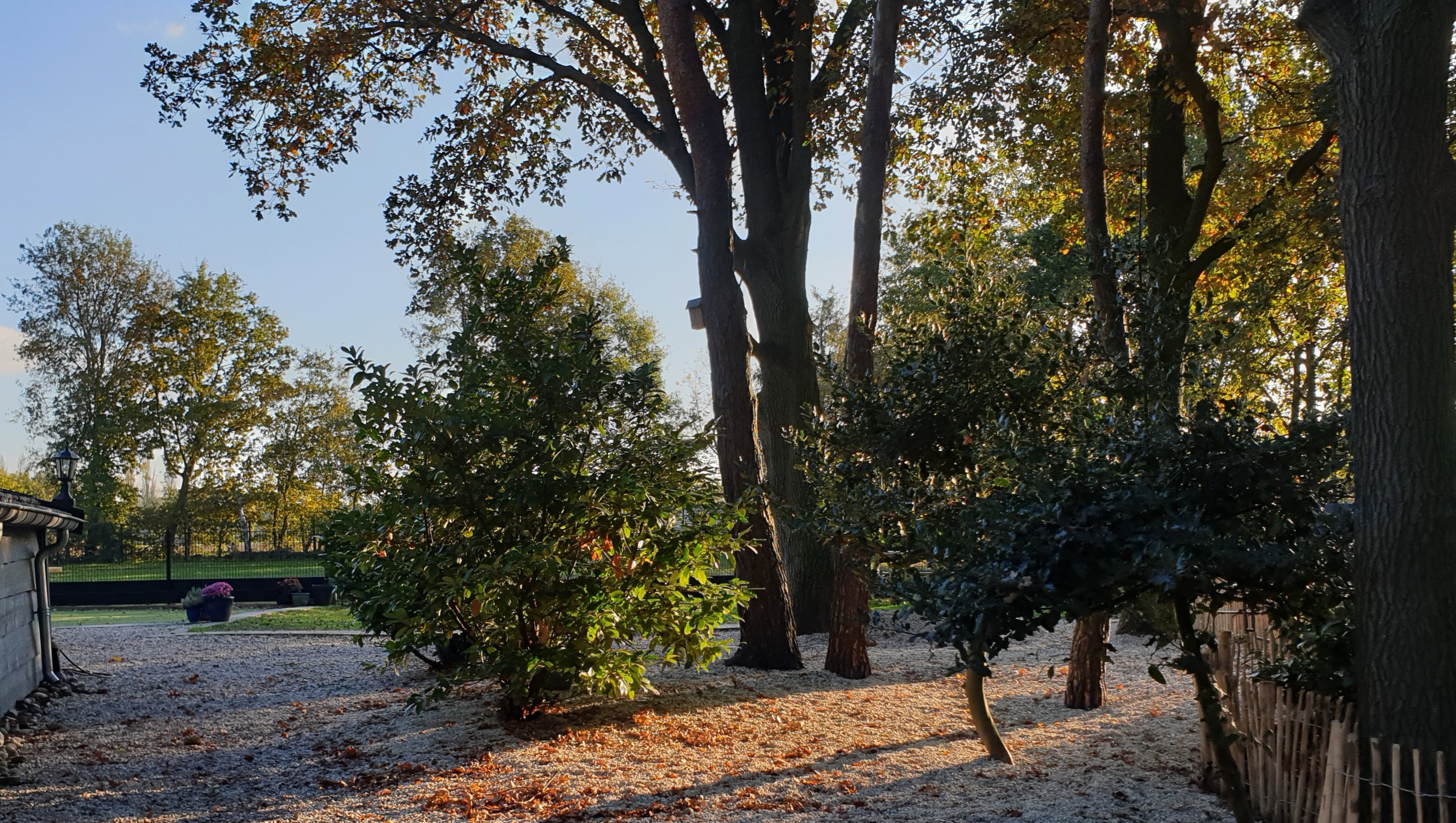 Natuurhuisje in Heythuysen