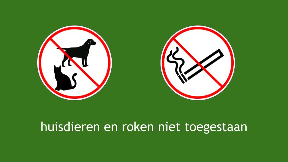 - image: 28