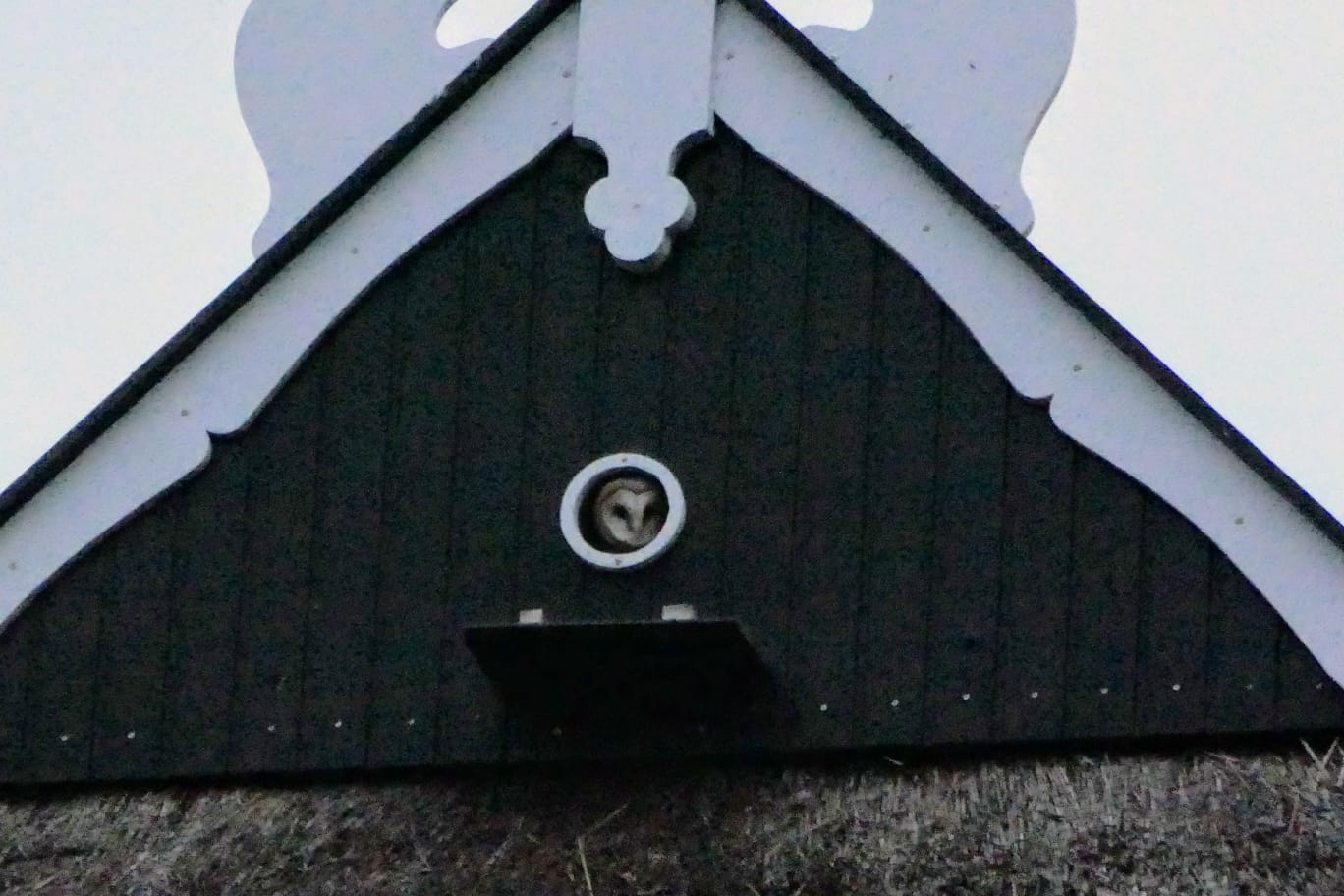 Natuurhuisje in Scherpenzeel