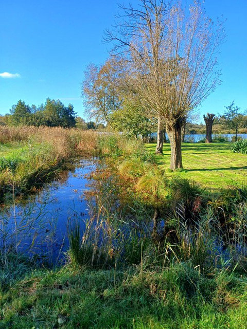- image: 18