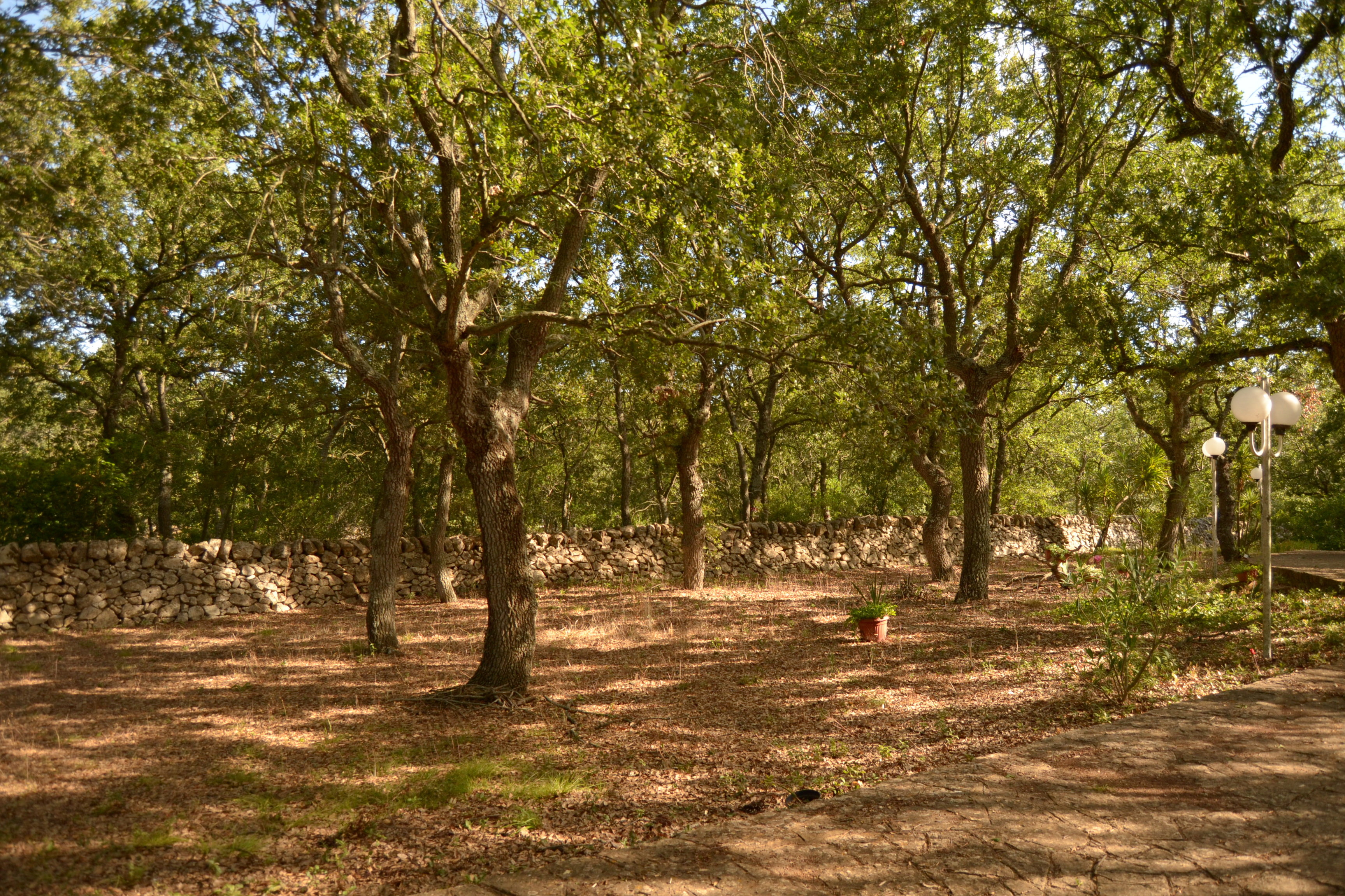 Maison nature à Locorotondo
