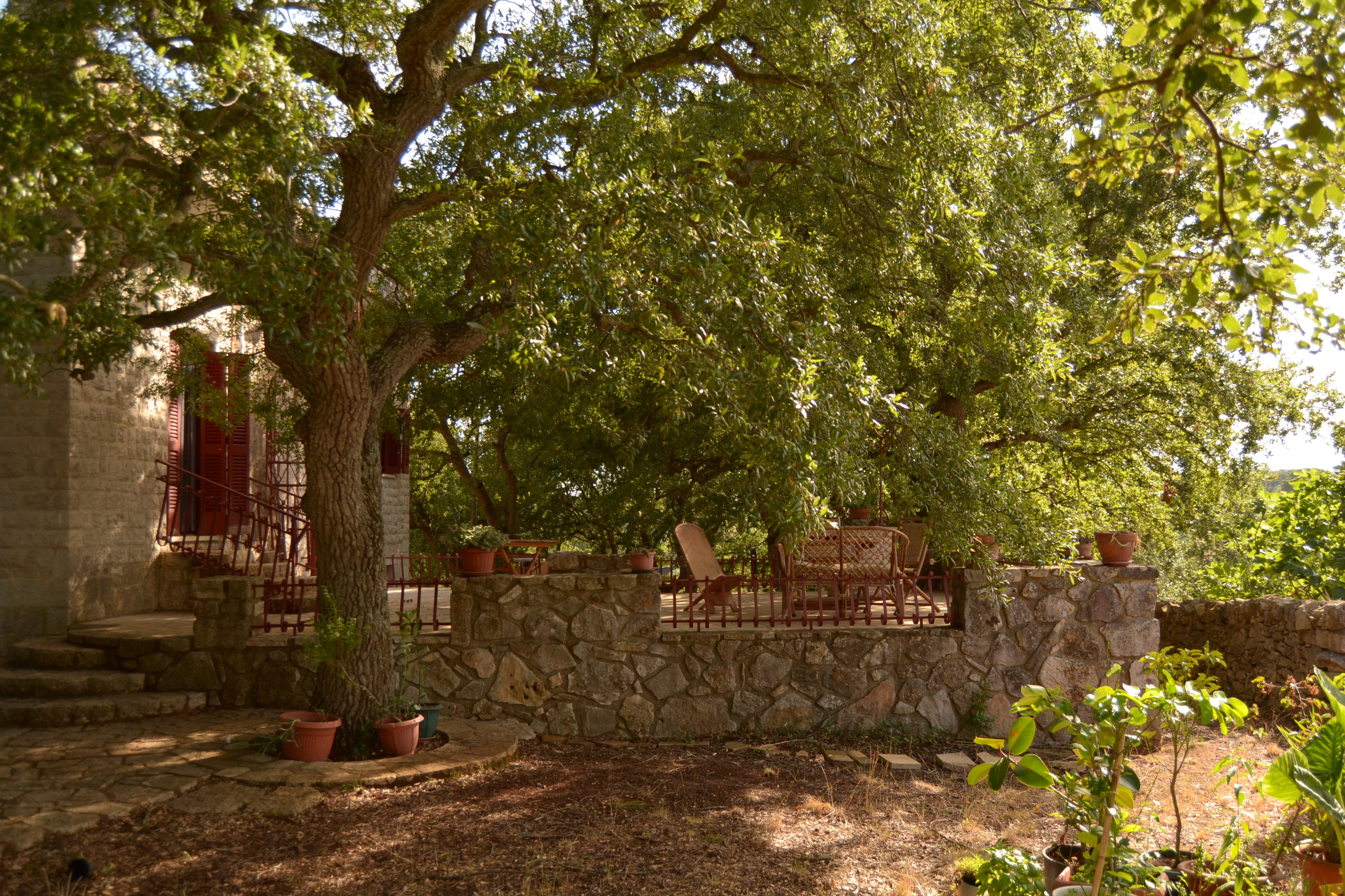 Maison nature à Locorotondo