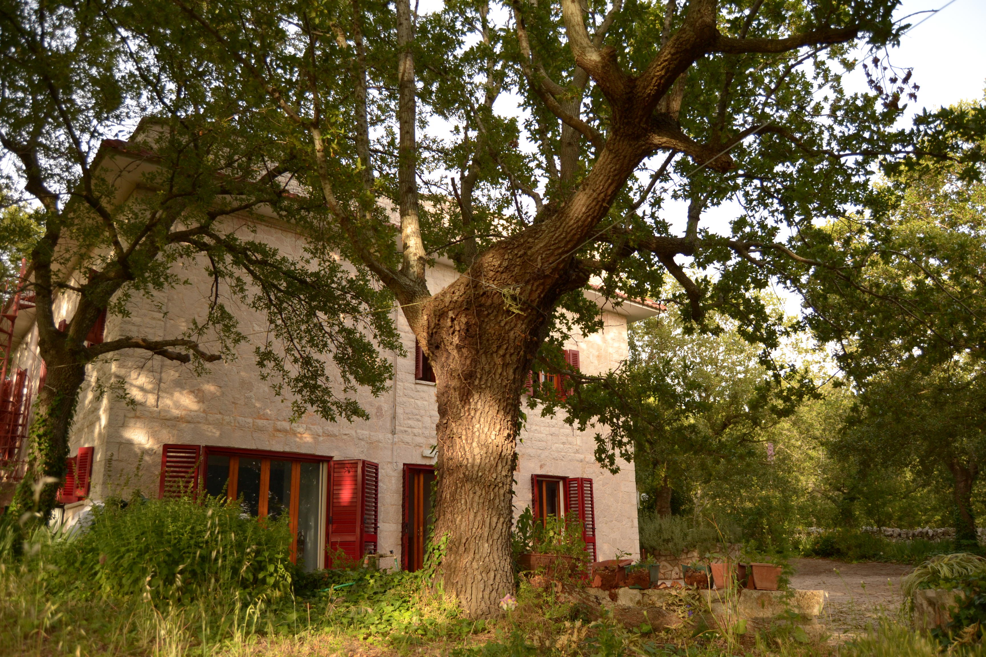 Natuurhuisje in Locorotondo