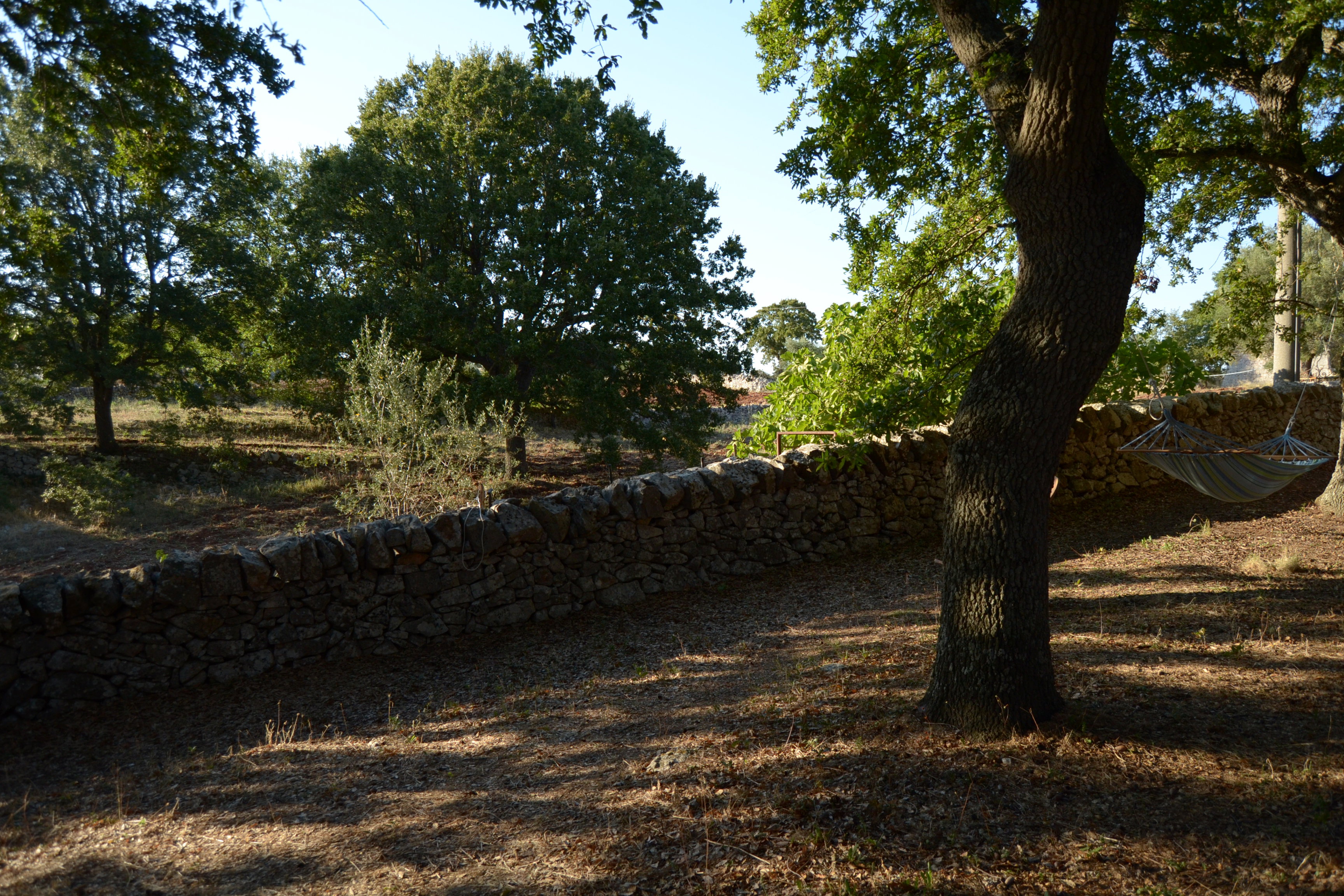 Maison nature à Locorotondo