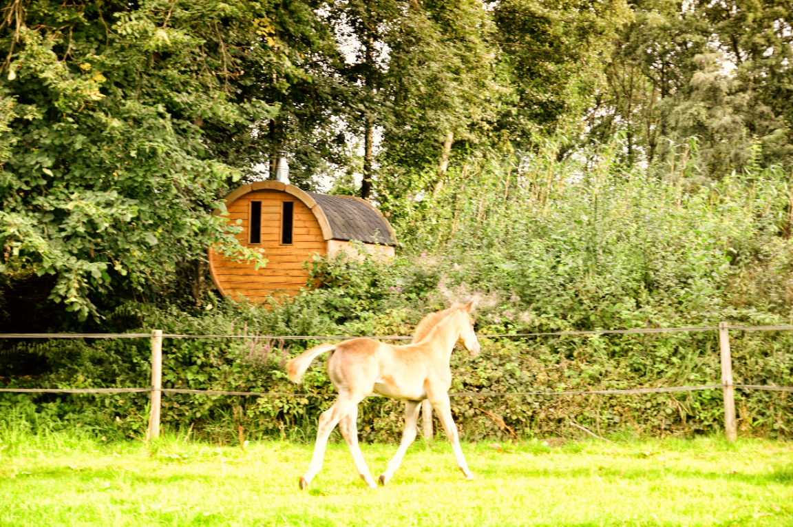 Casa nella natura a Lanaken