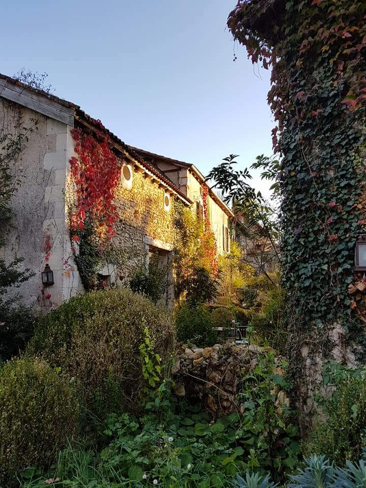 - image: 20