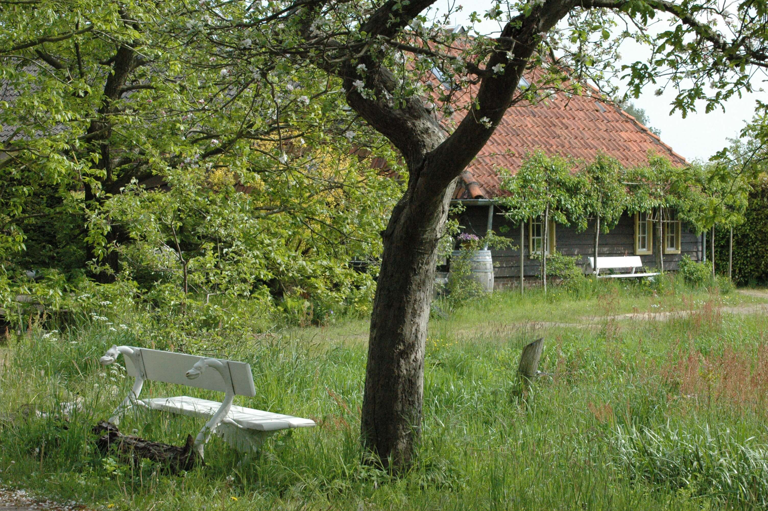 Natuurhuisje in Esch