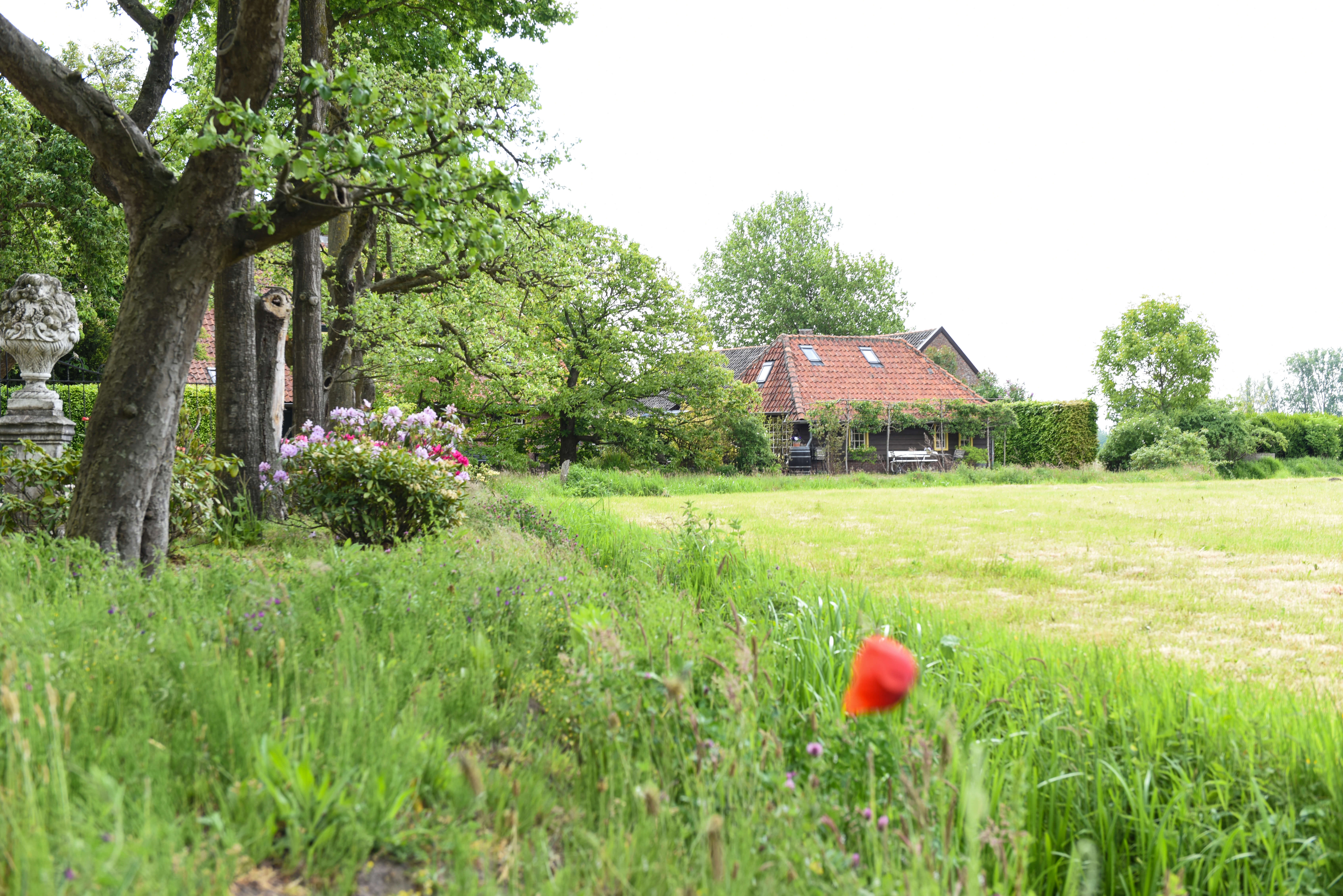 Natuurhuisje in Esch