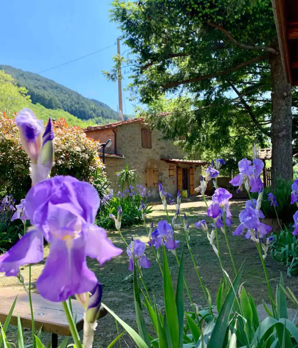 Maison nature à Loro ciuffenna
