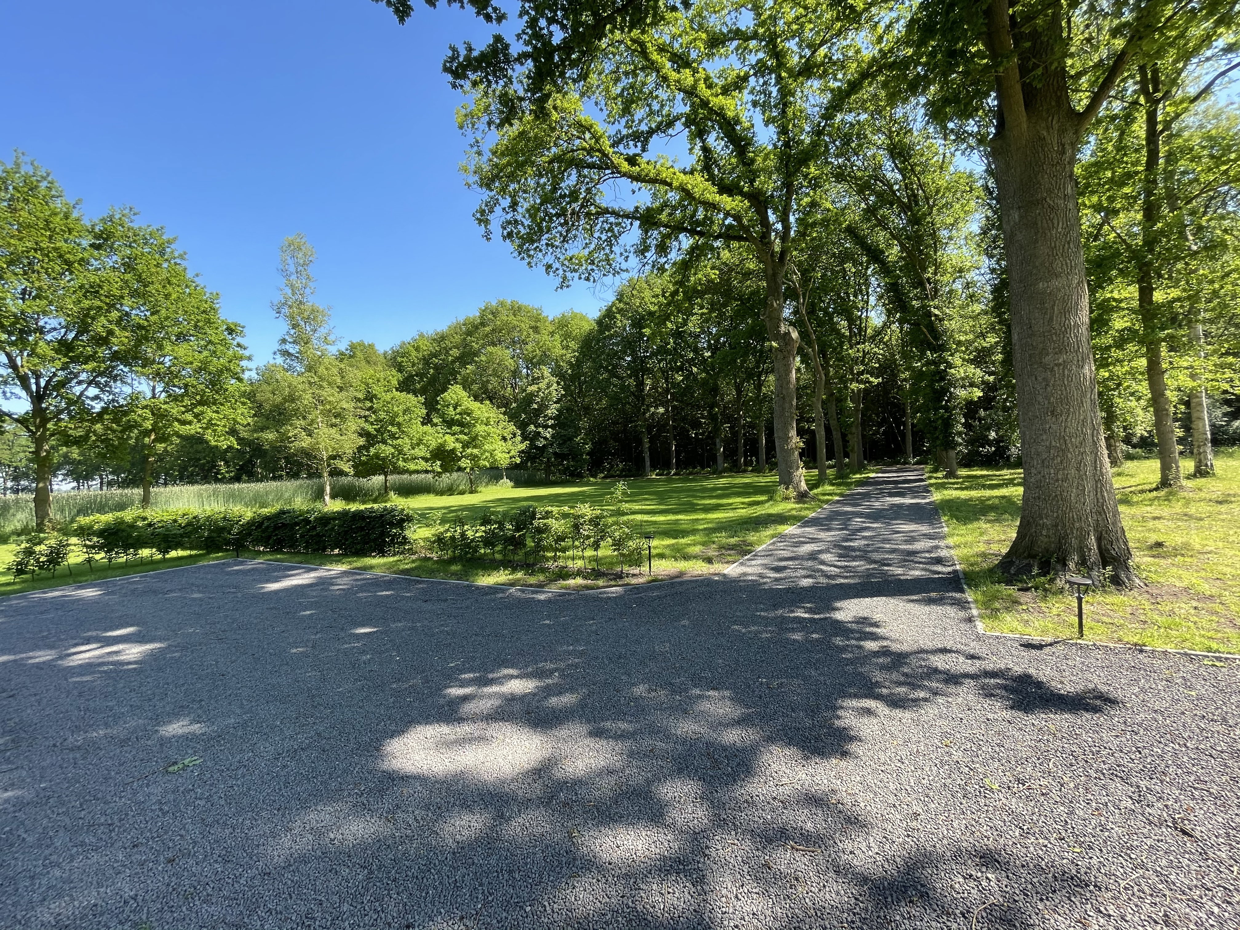 - image: 20