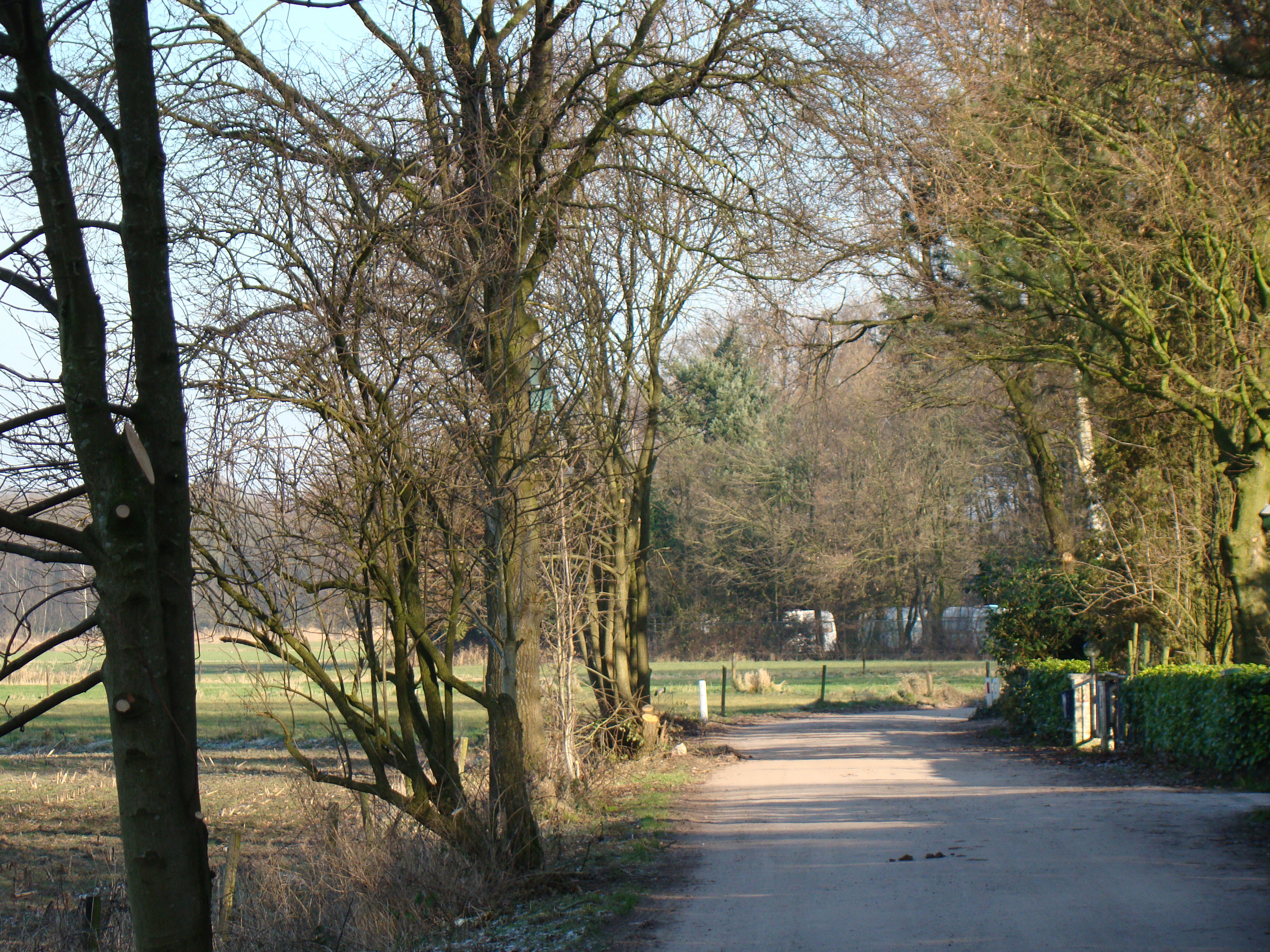 - image: 27