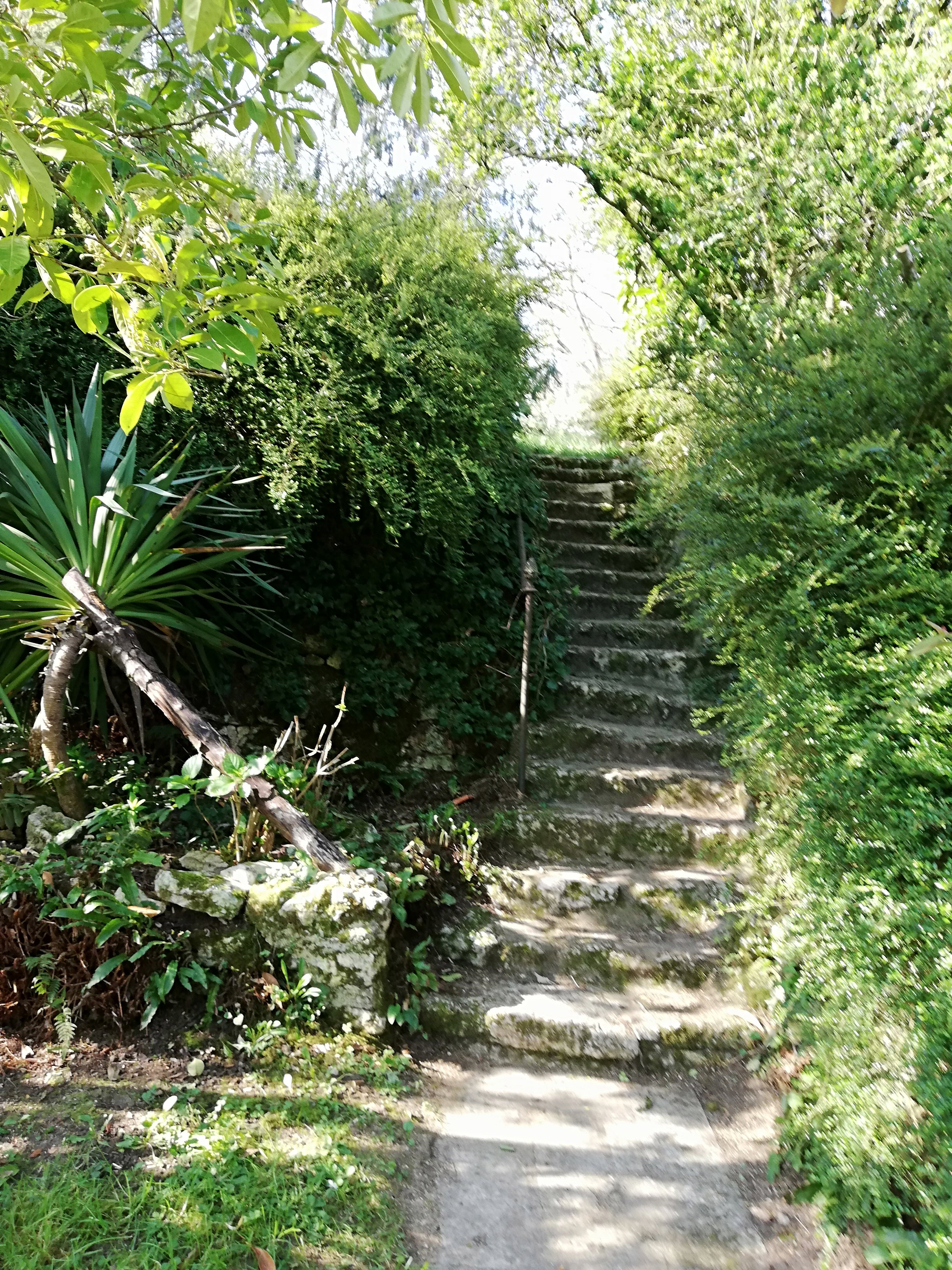 Maison nature à Angles-sur-l'Anglin