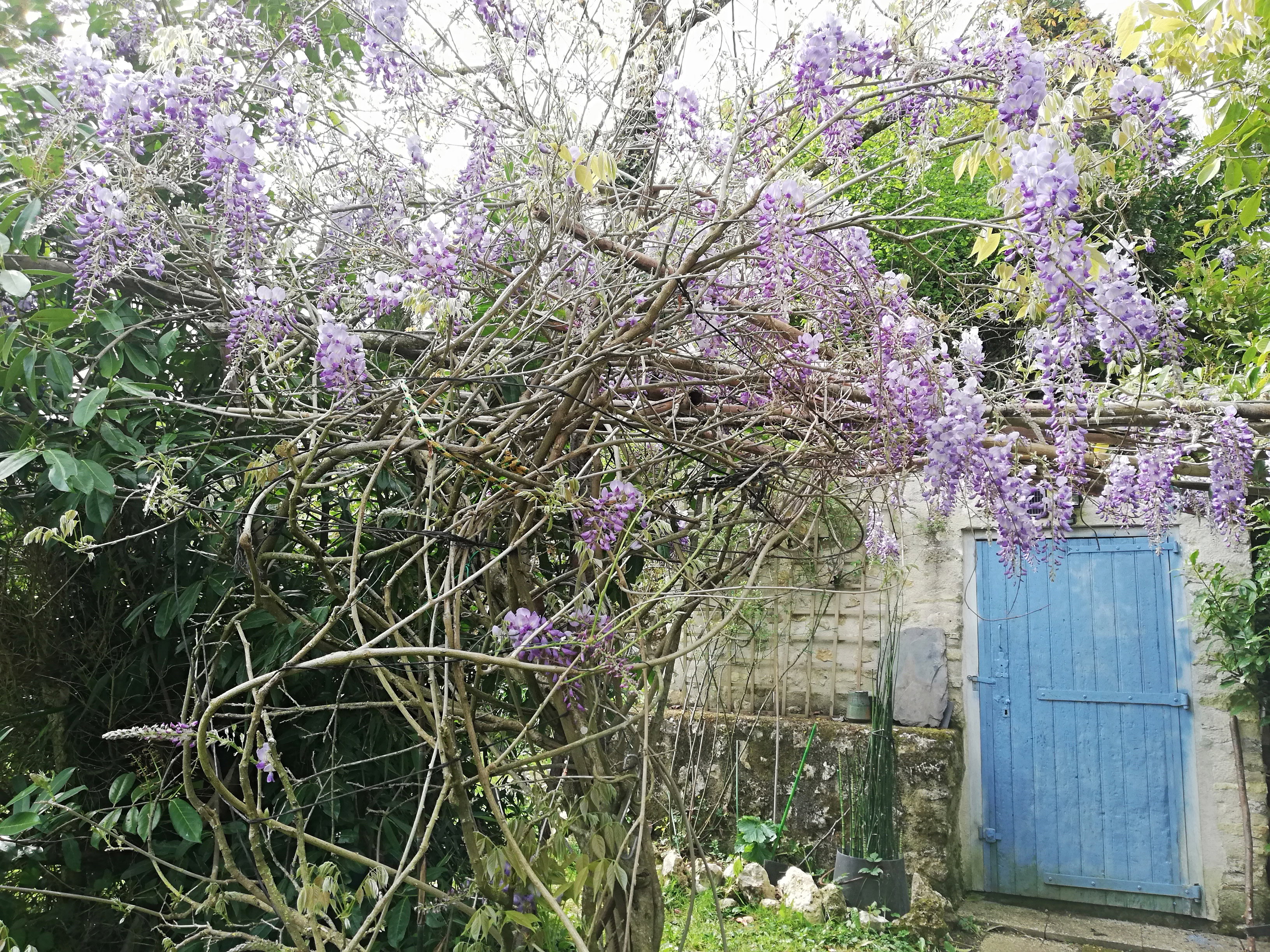 Maison nature à Angles-sur-l'Anglin