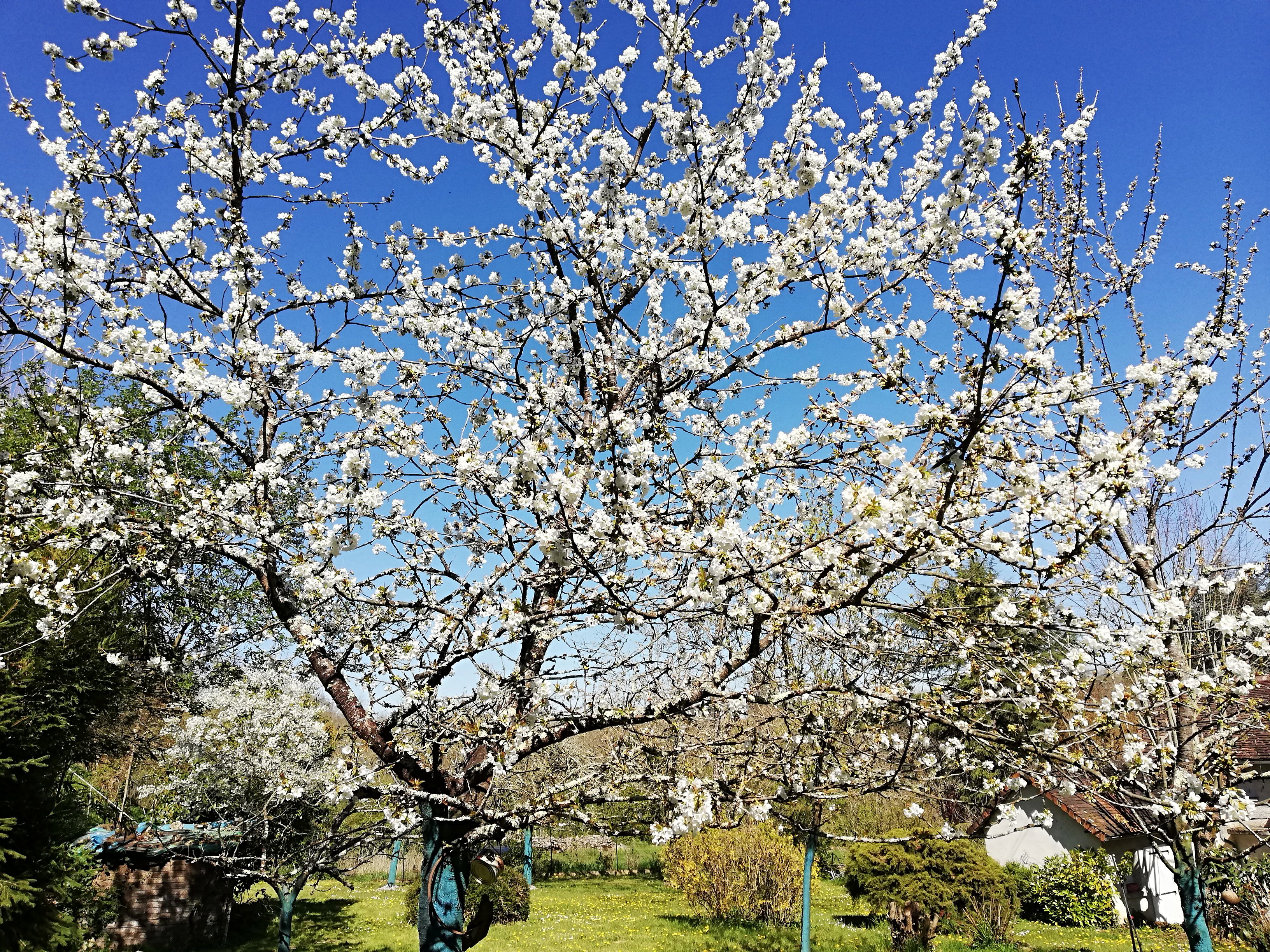 Maison nature à Angles-sur-l'Anglin
