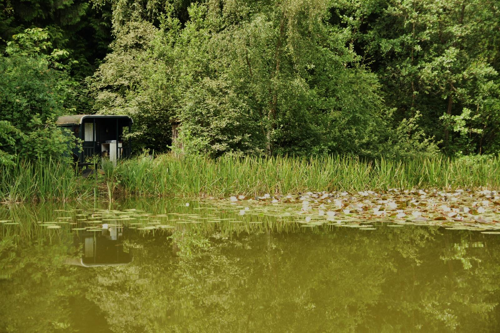 Natuurhuisje in Papenvoort
