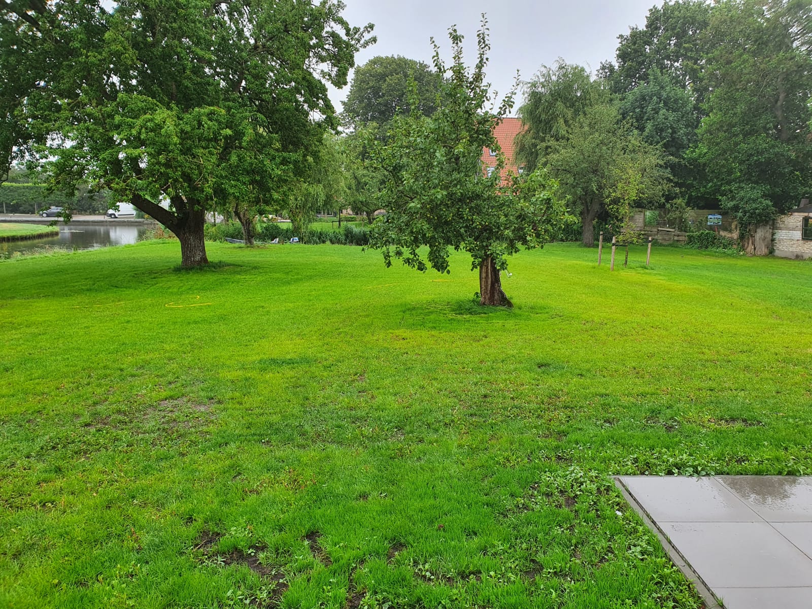 - image: 42
