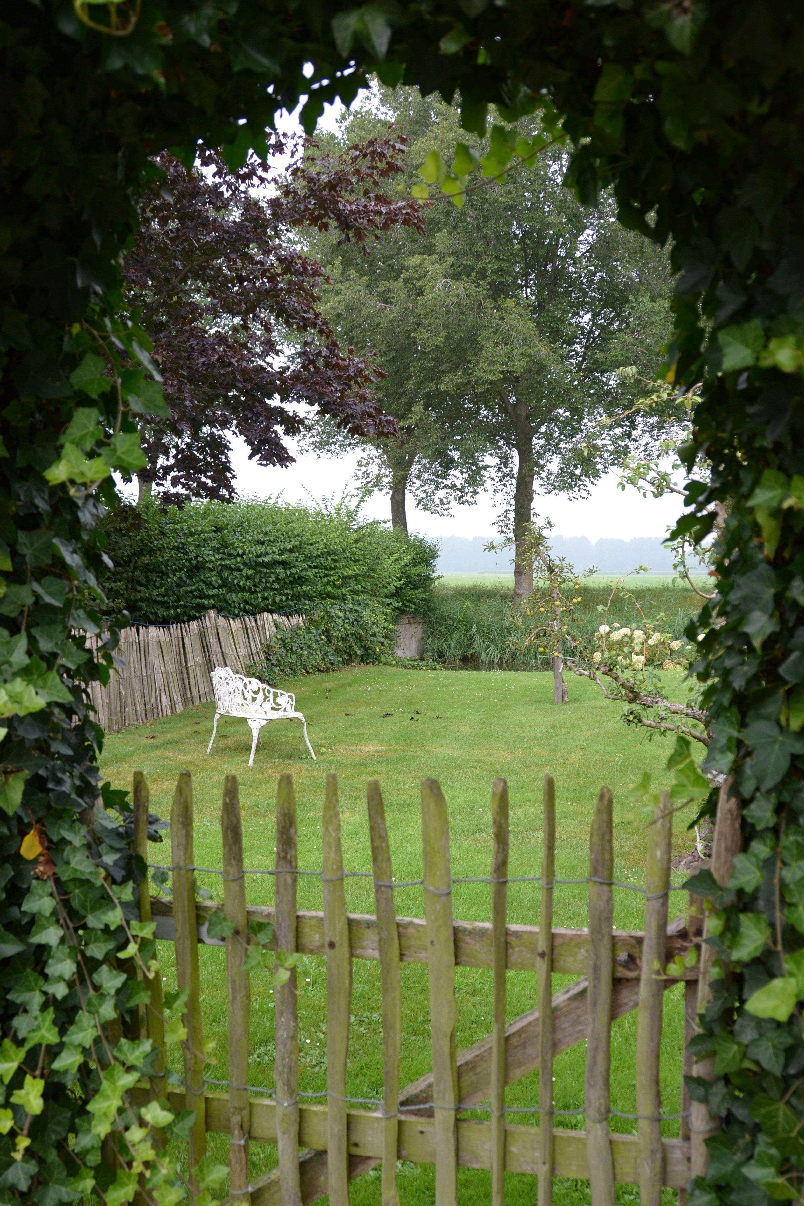 - image: 12