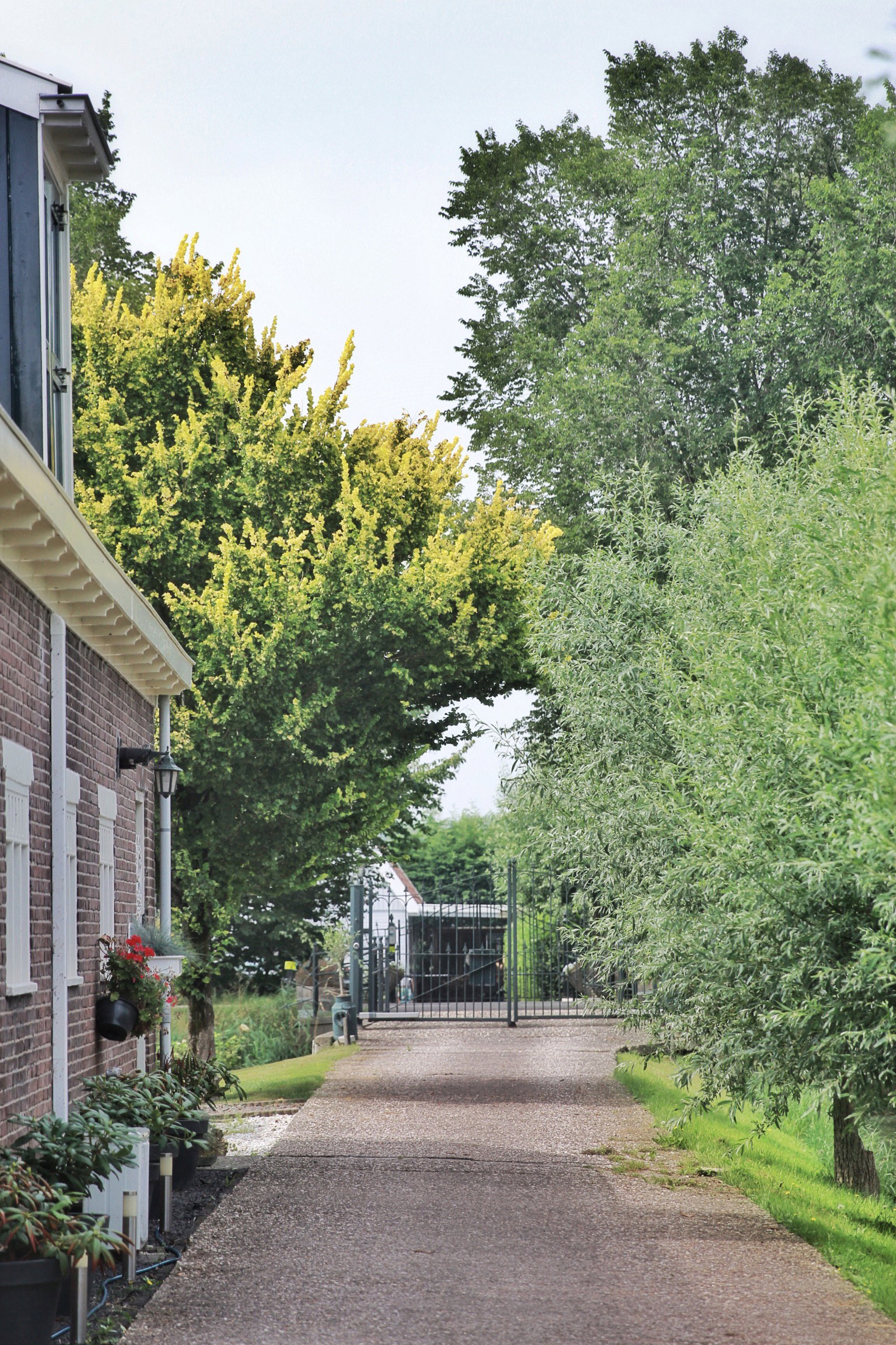 - image: 14