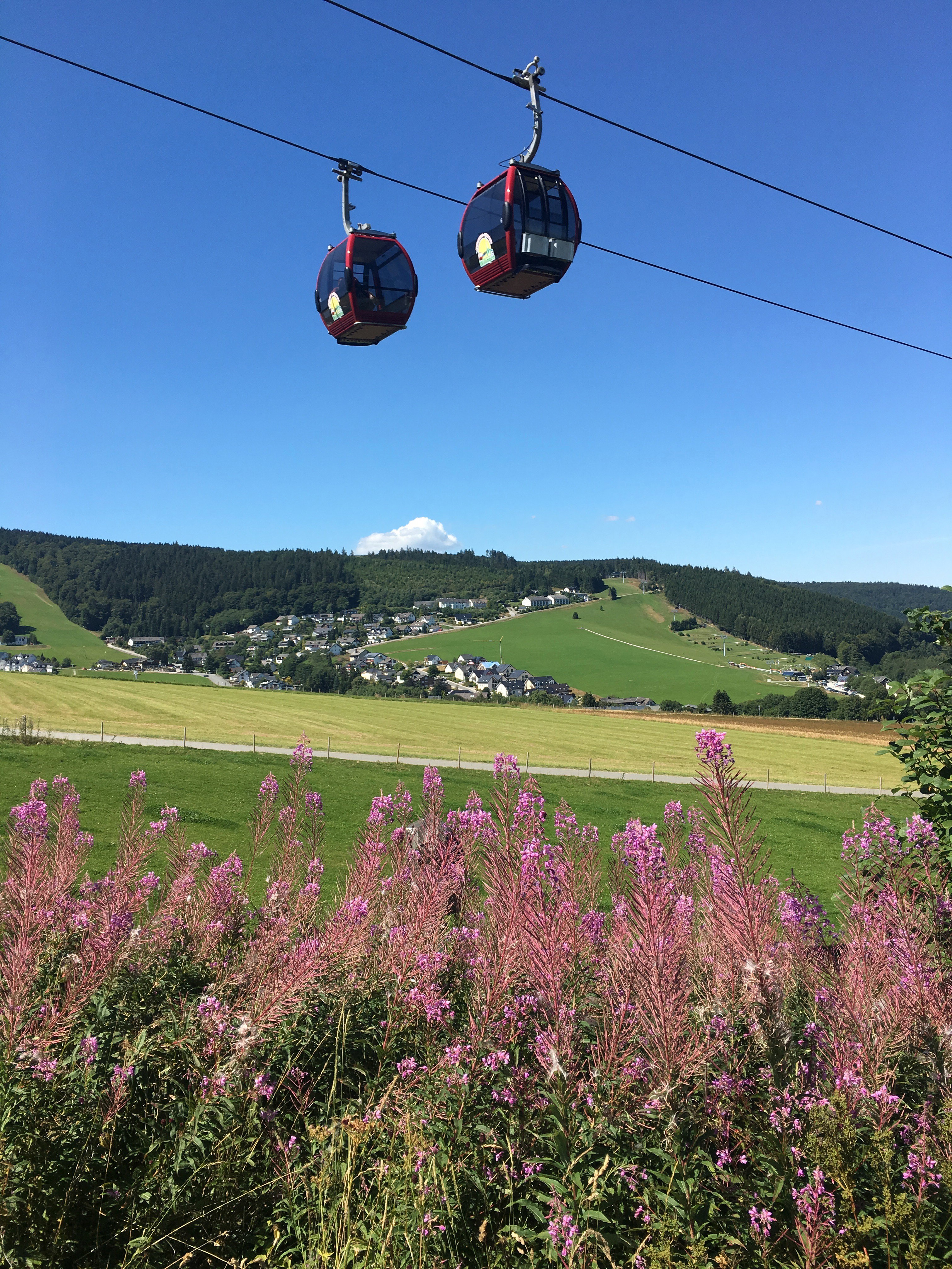 Natuurhuisje in Willingen