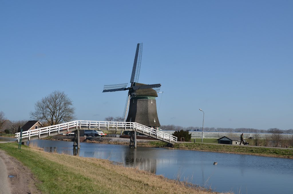 - image: 27