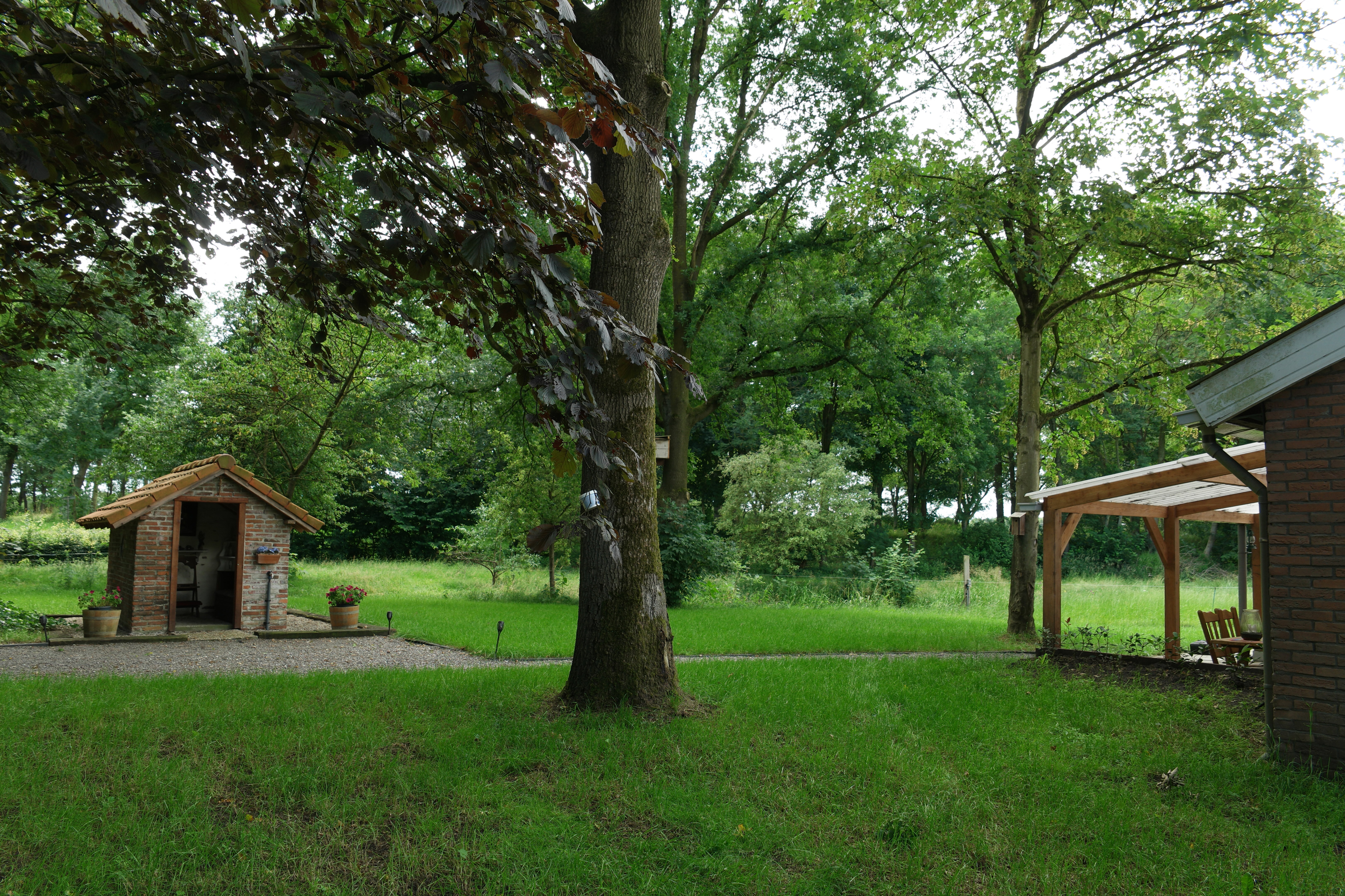 - image: 25