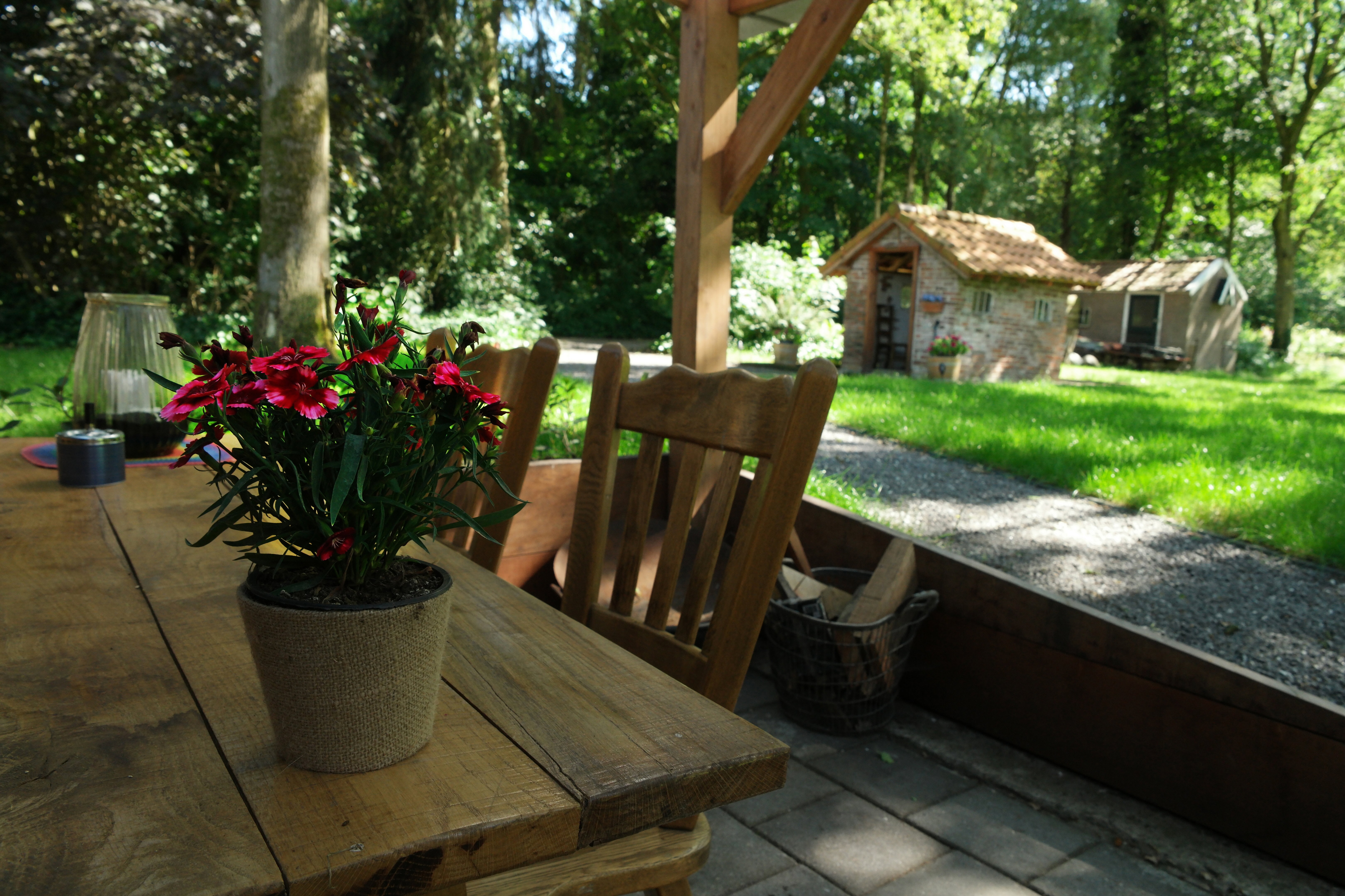 Maison nature à Bellingwolde