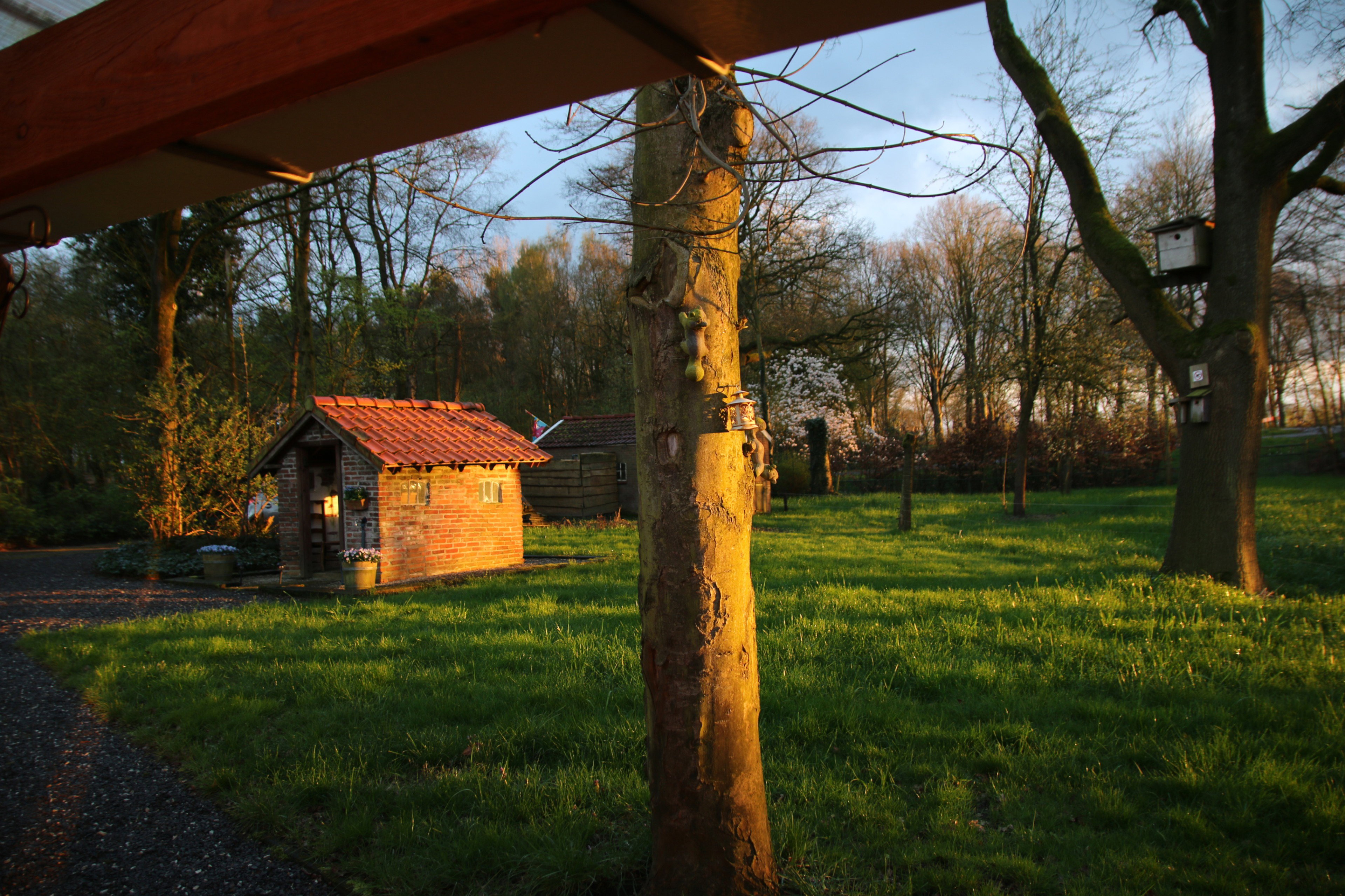 Casa nella natura a Bellingwolde