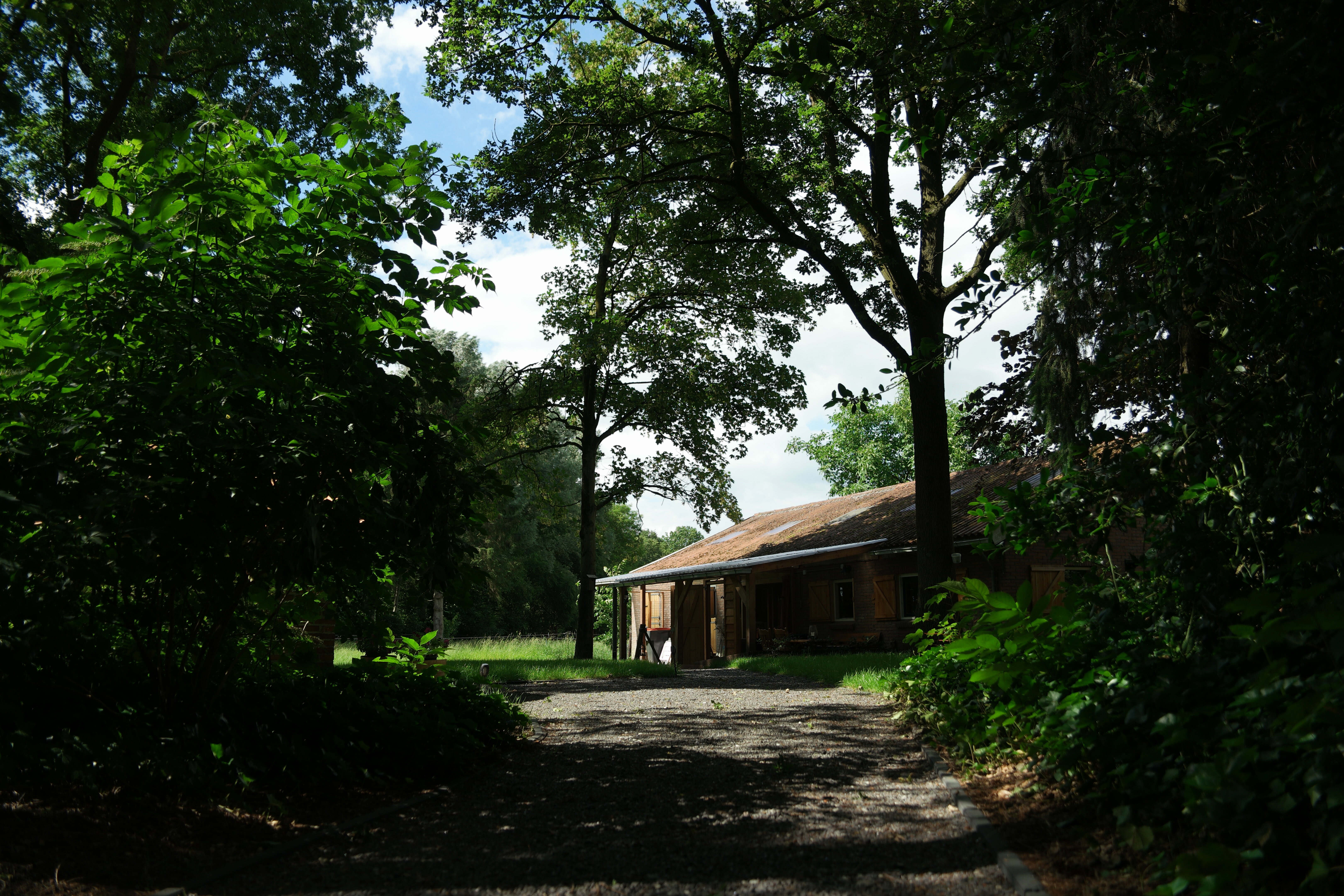 Maison nature à Bellingwolde