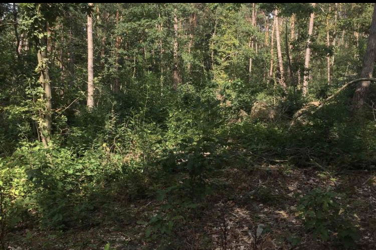 Casa nella natura a Gellik