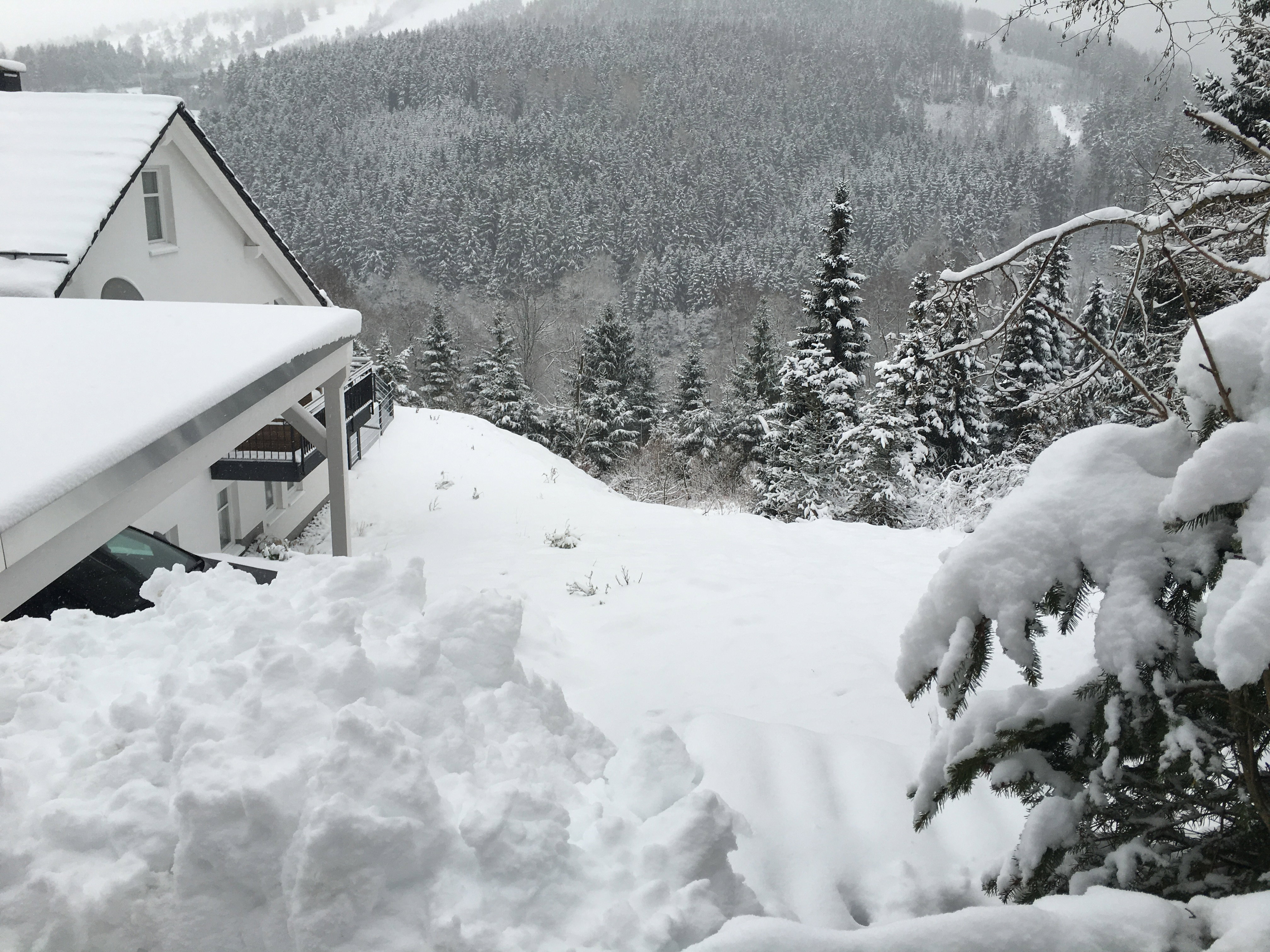 Natuurhuisje in Willingen