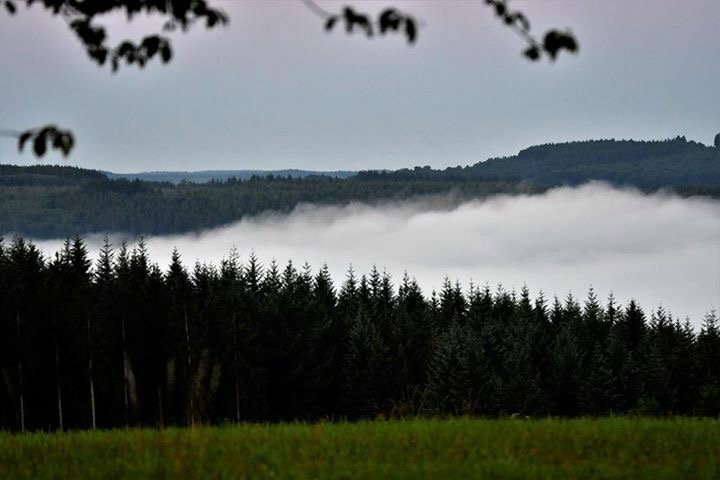 - image: 19