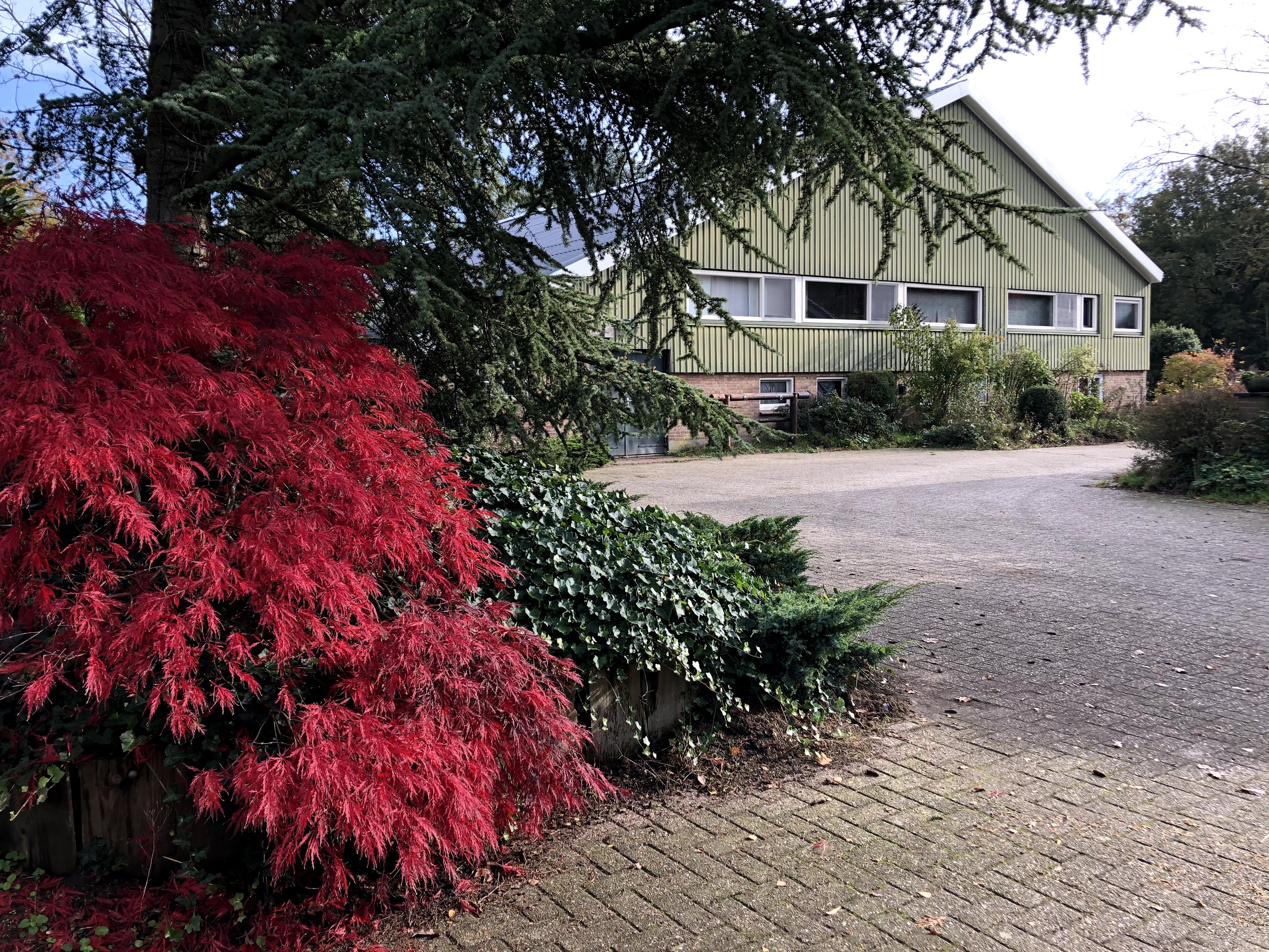 Naturhäuschen in Laren Gld