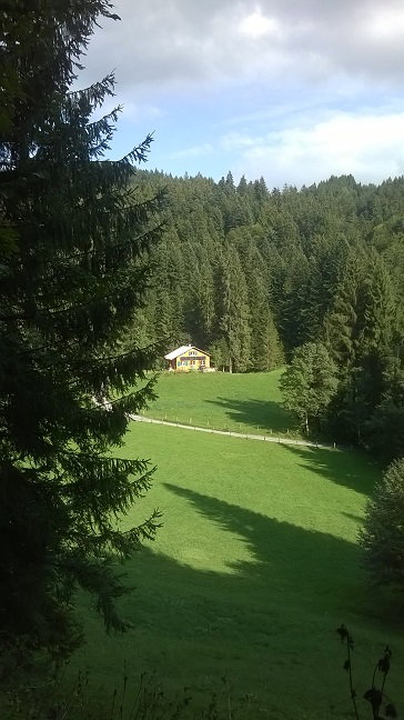 - image: 13