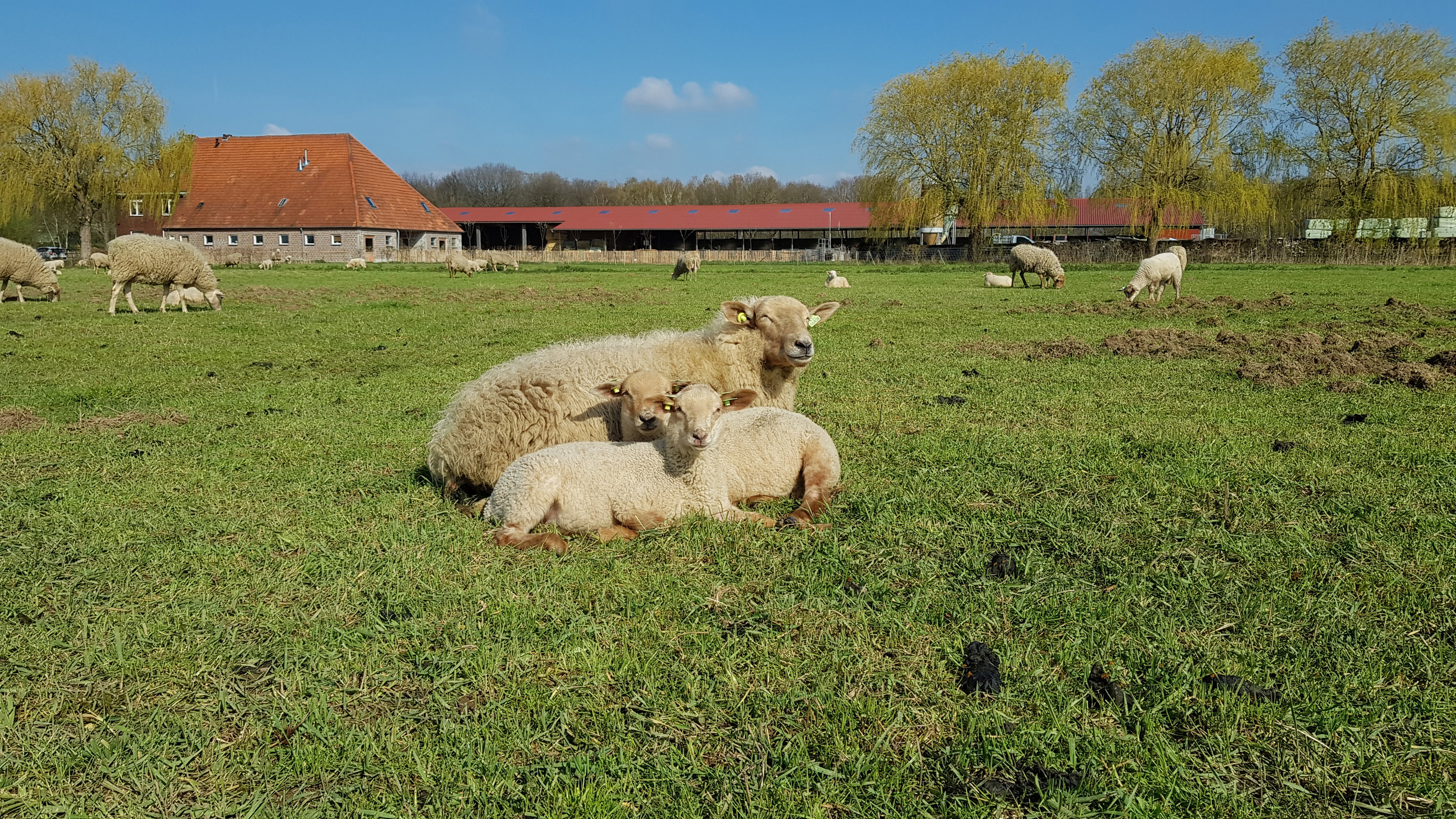 Naturhäuschen in Roermond