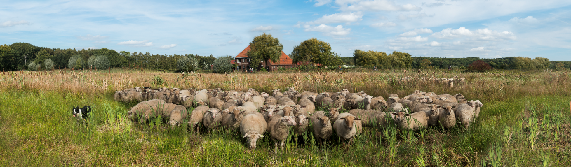 Naturhäuschen in Roermond