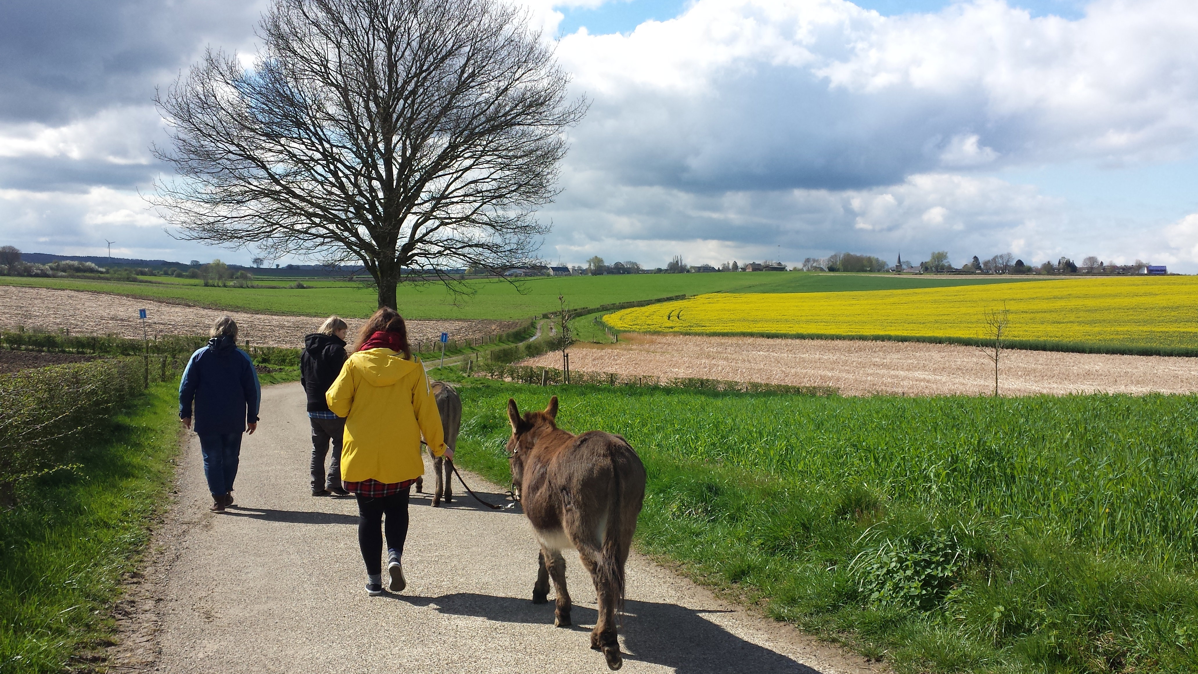 Natuurhuisje in Bocholtz