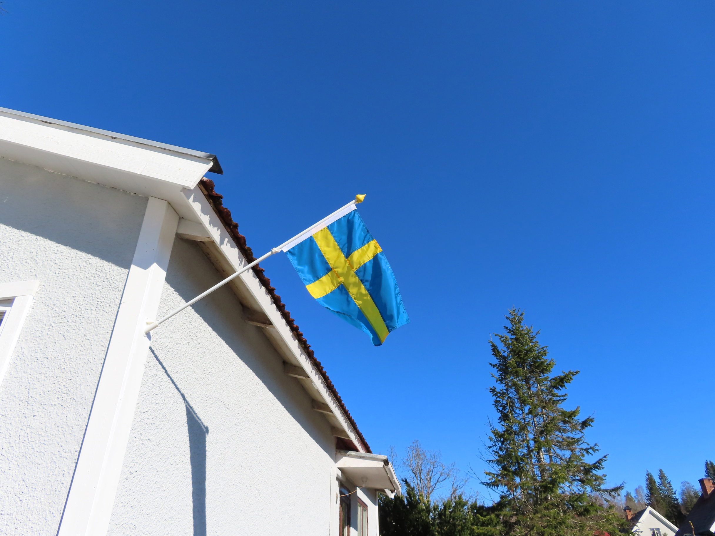 - image: 33