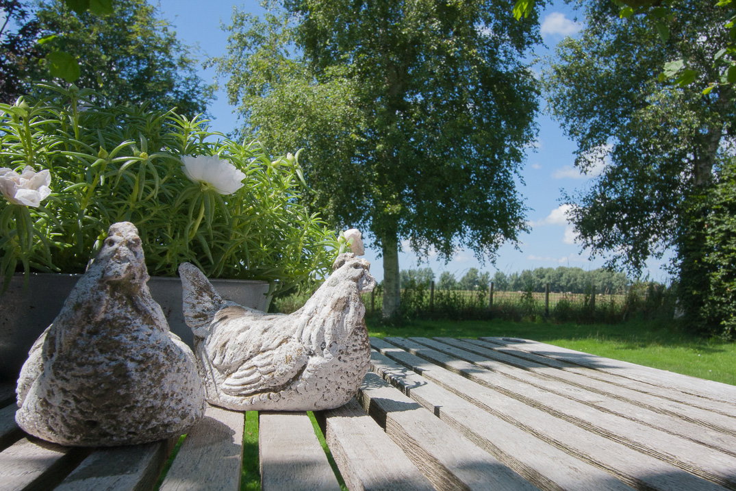 Naturhäuschen in Nieuwer Ter Aa