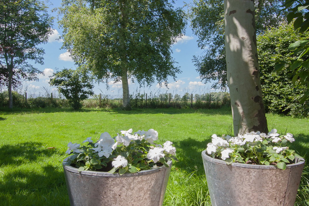 Naturhäuschen in Nieuwer Ter Aa