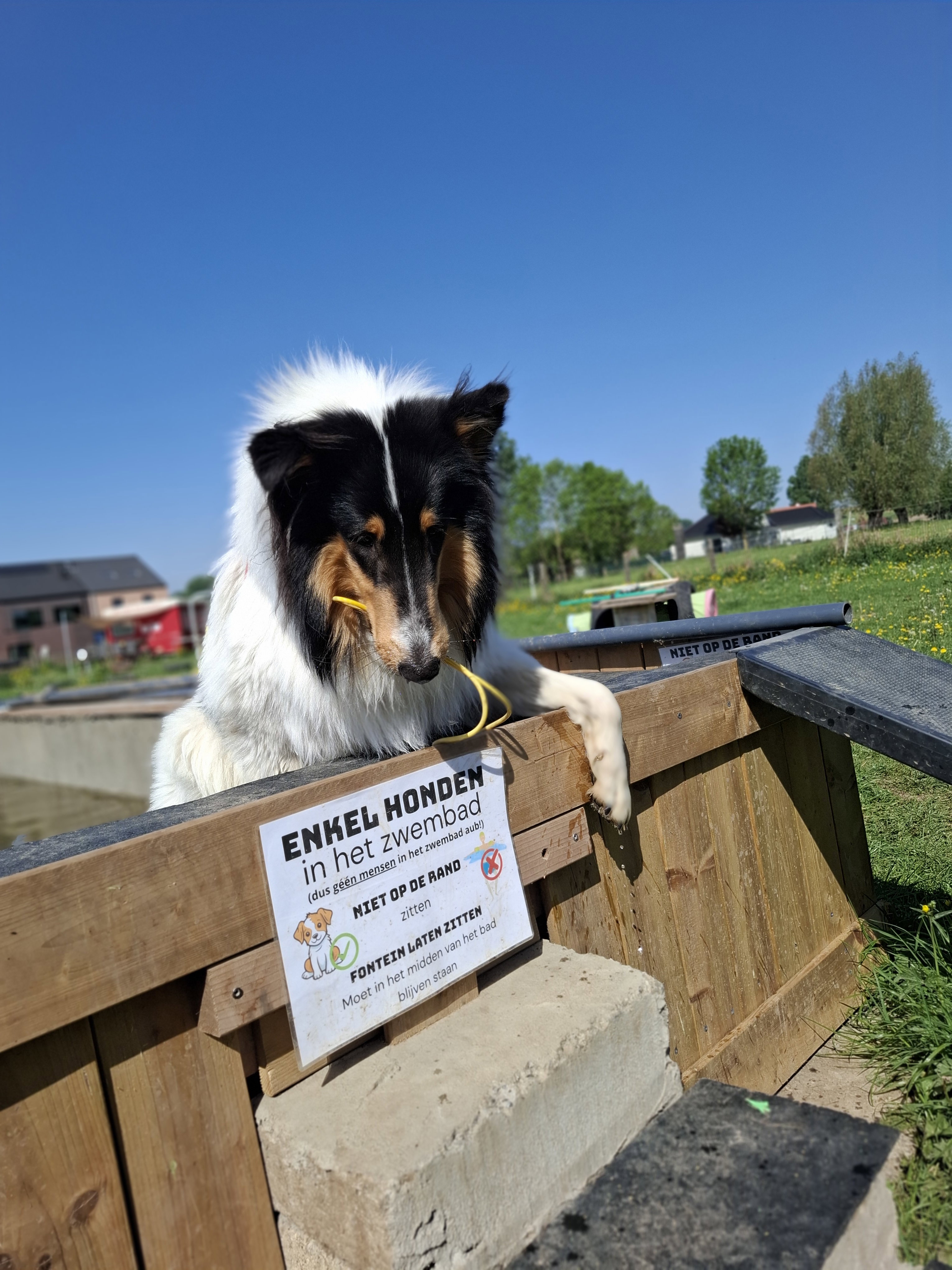 Casa nella natura a Smeerebbe Vloerzegem