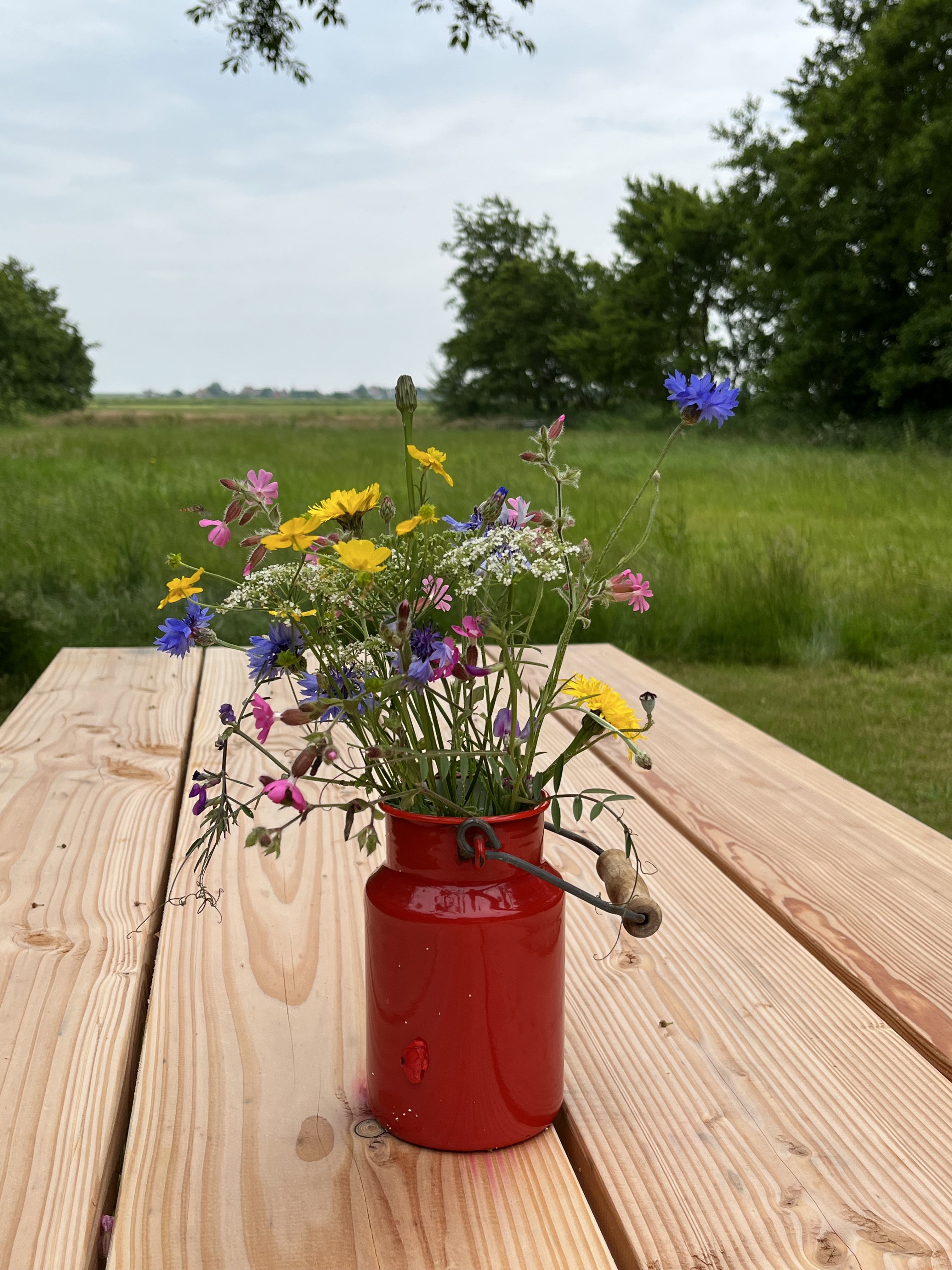 Naturhäuschen in Midsland Noord