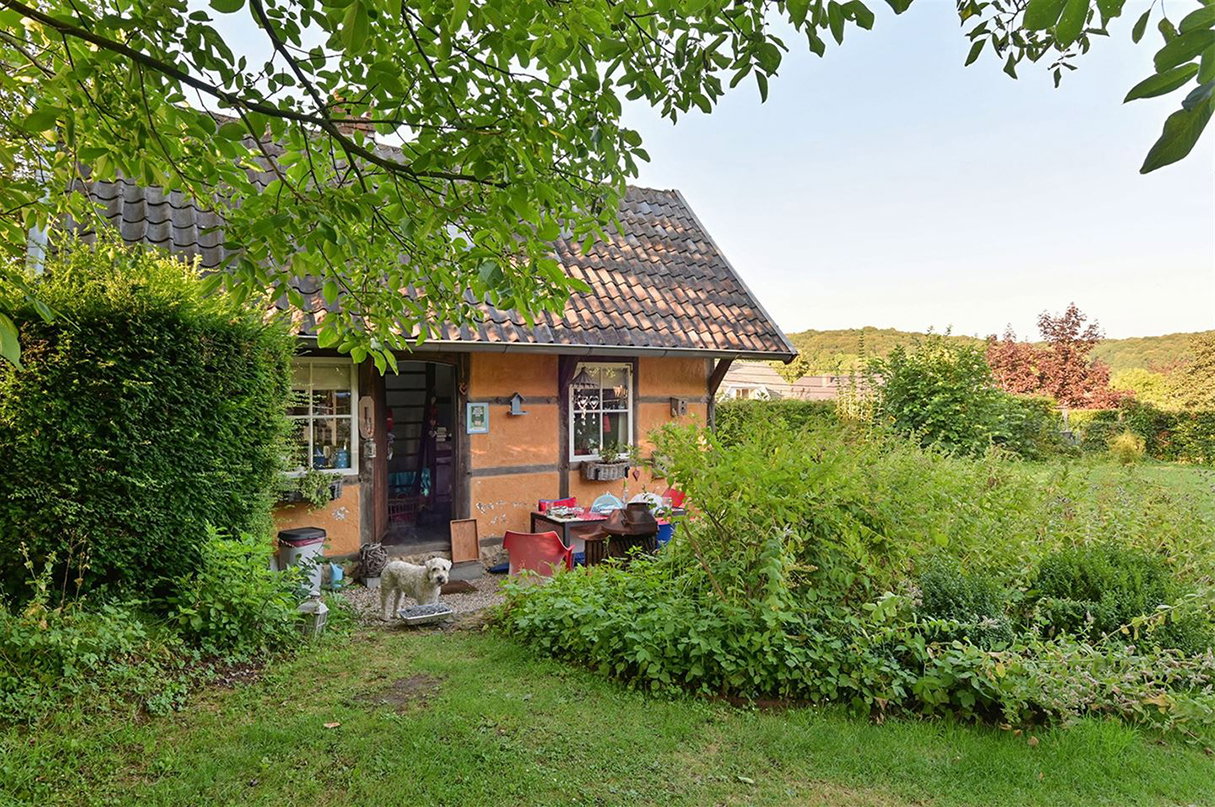 - image: 11