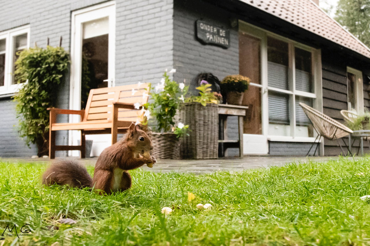 Natuurhuisje in Lochem