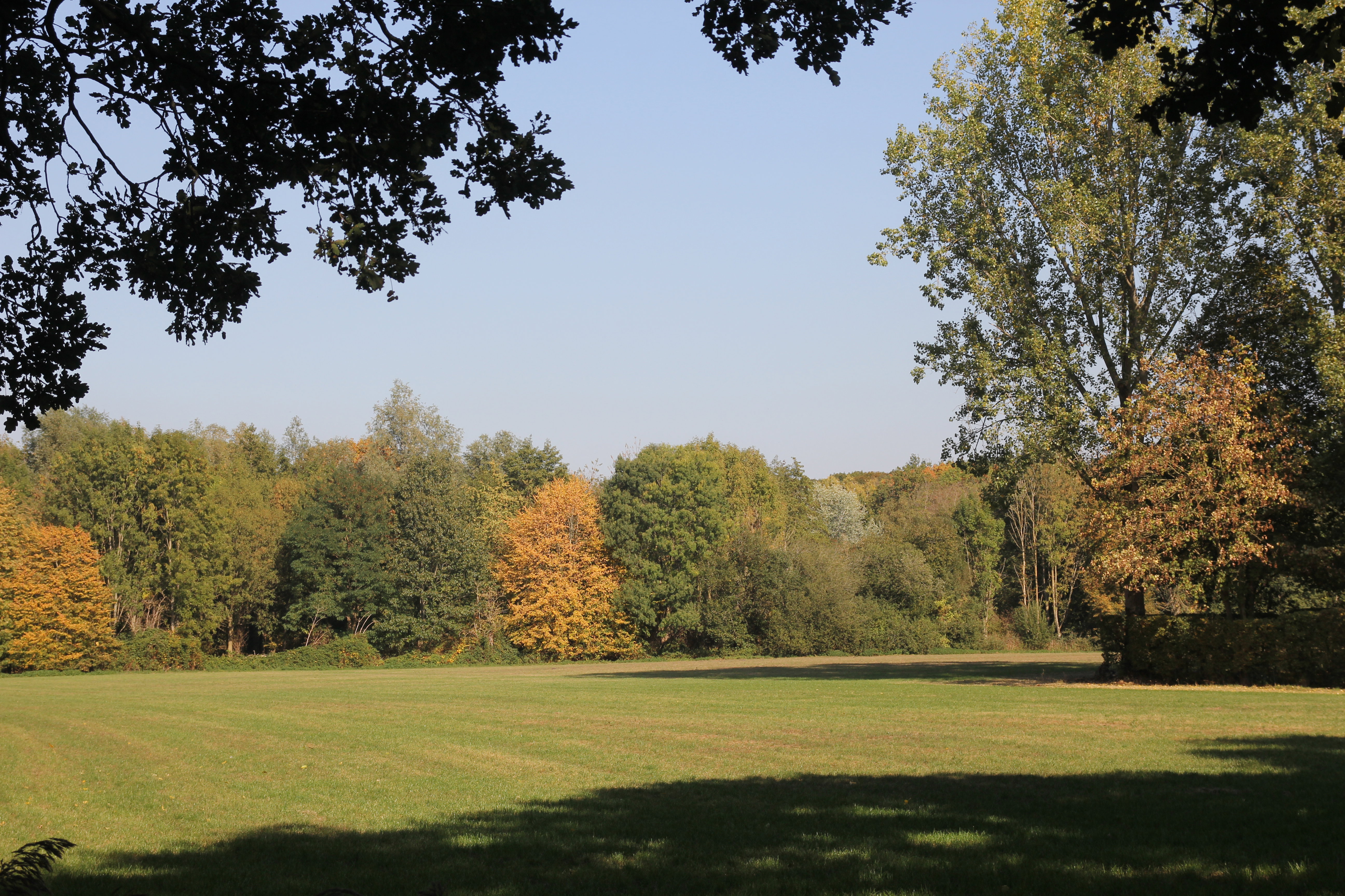 - image: 26