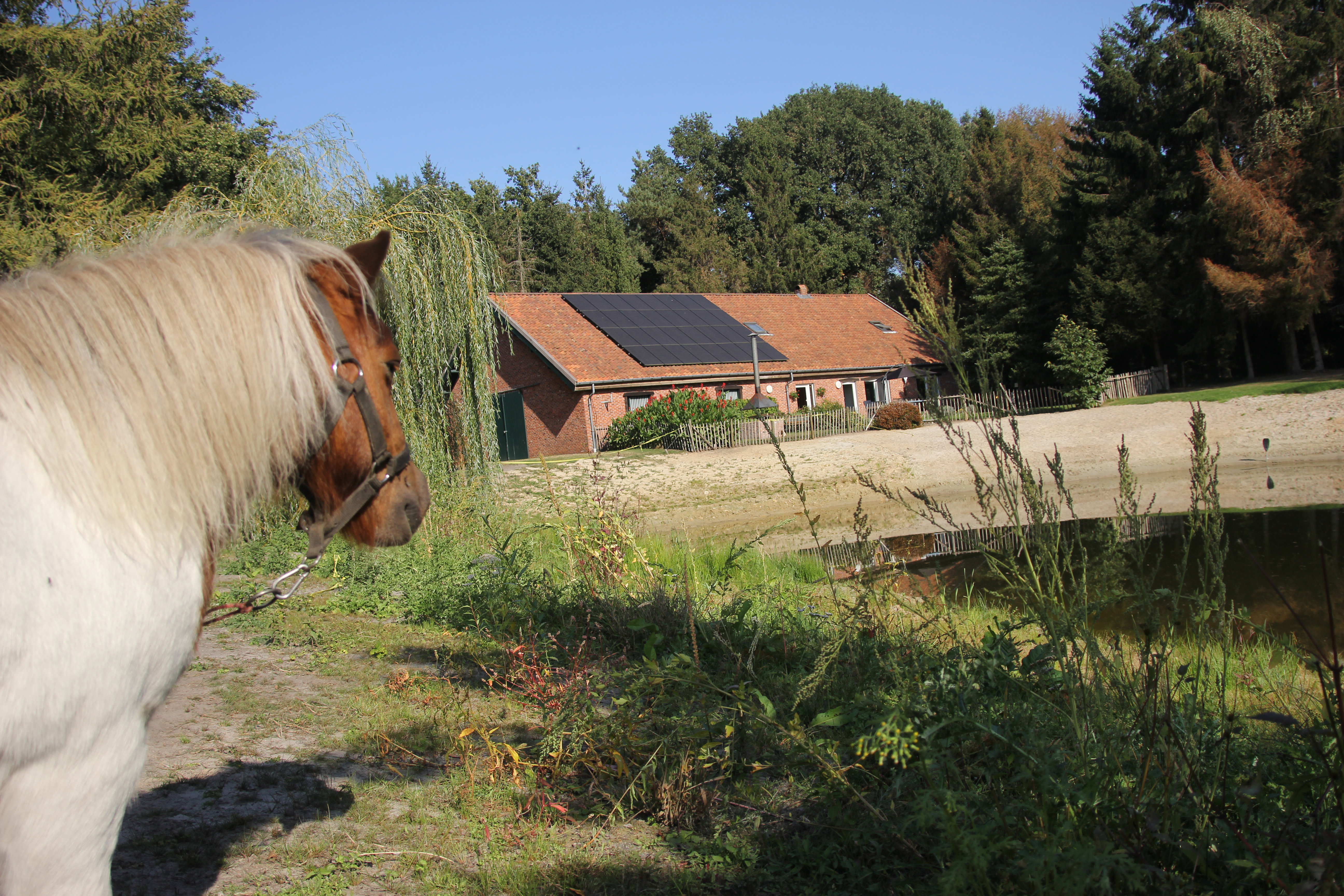 Naturhäuschen in Poppel  Ravels