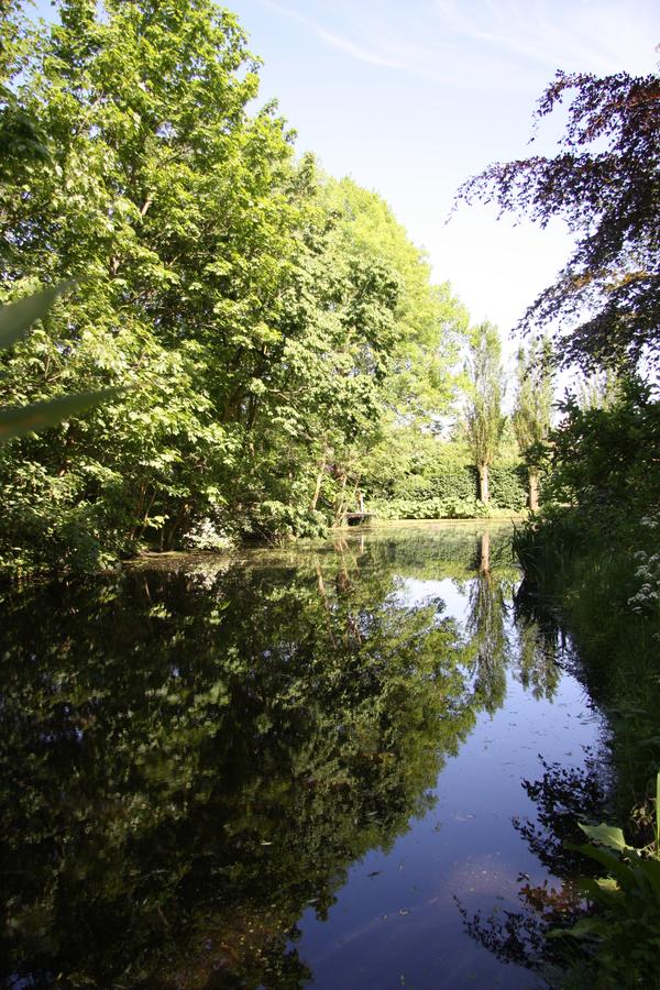 - image: 12